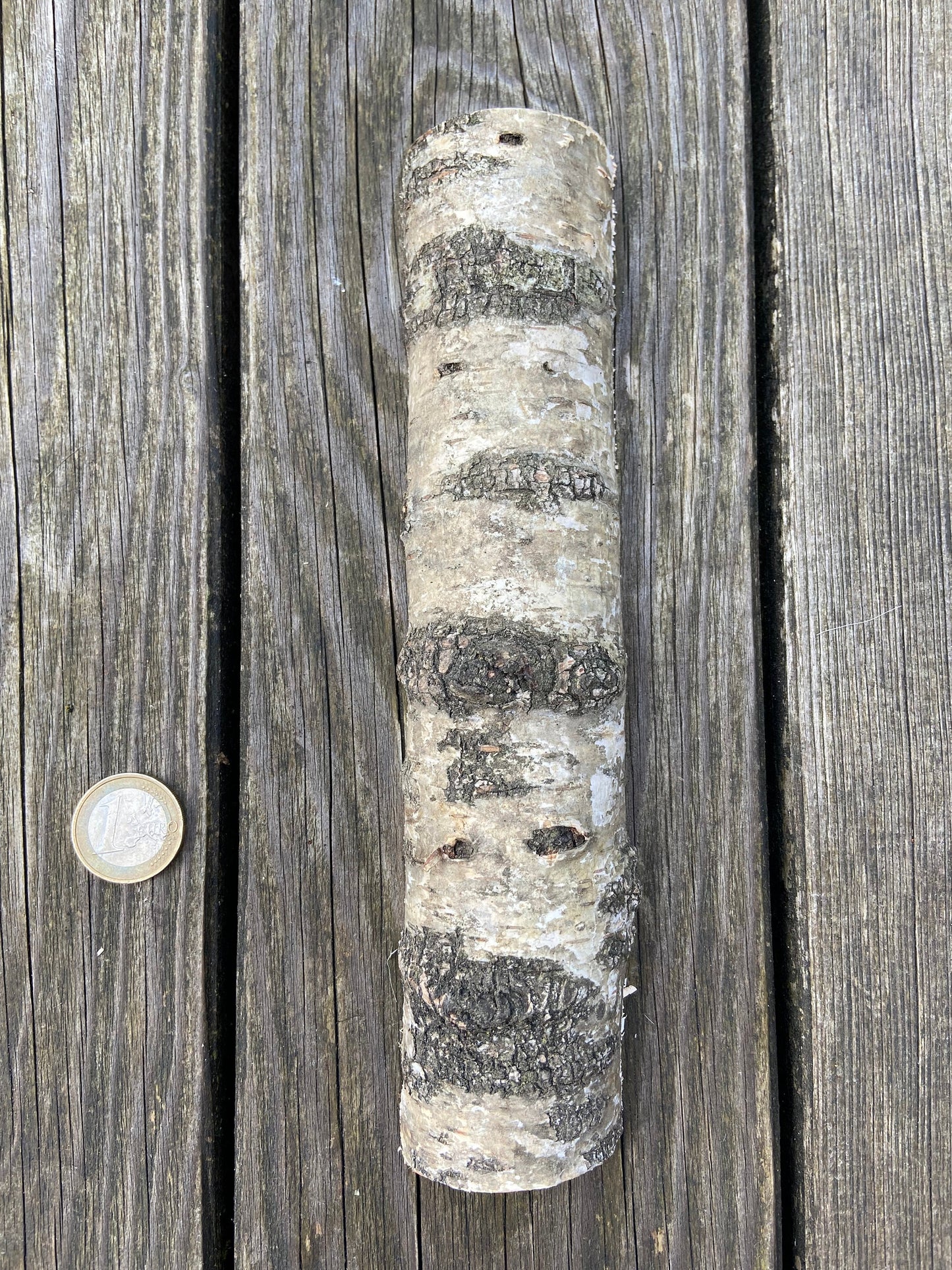 Birkenstamm | halbiert | ca. 20cm