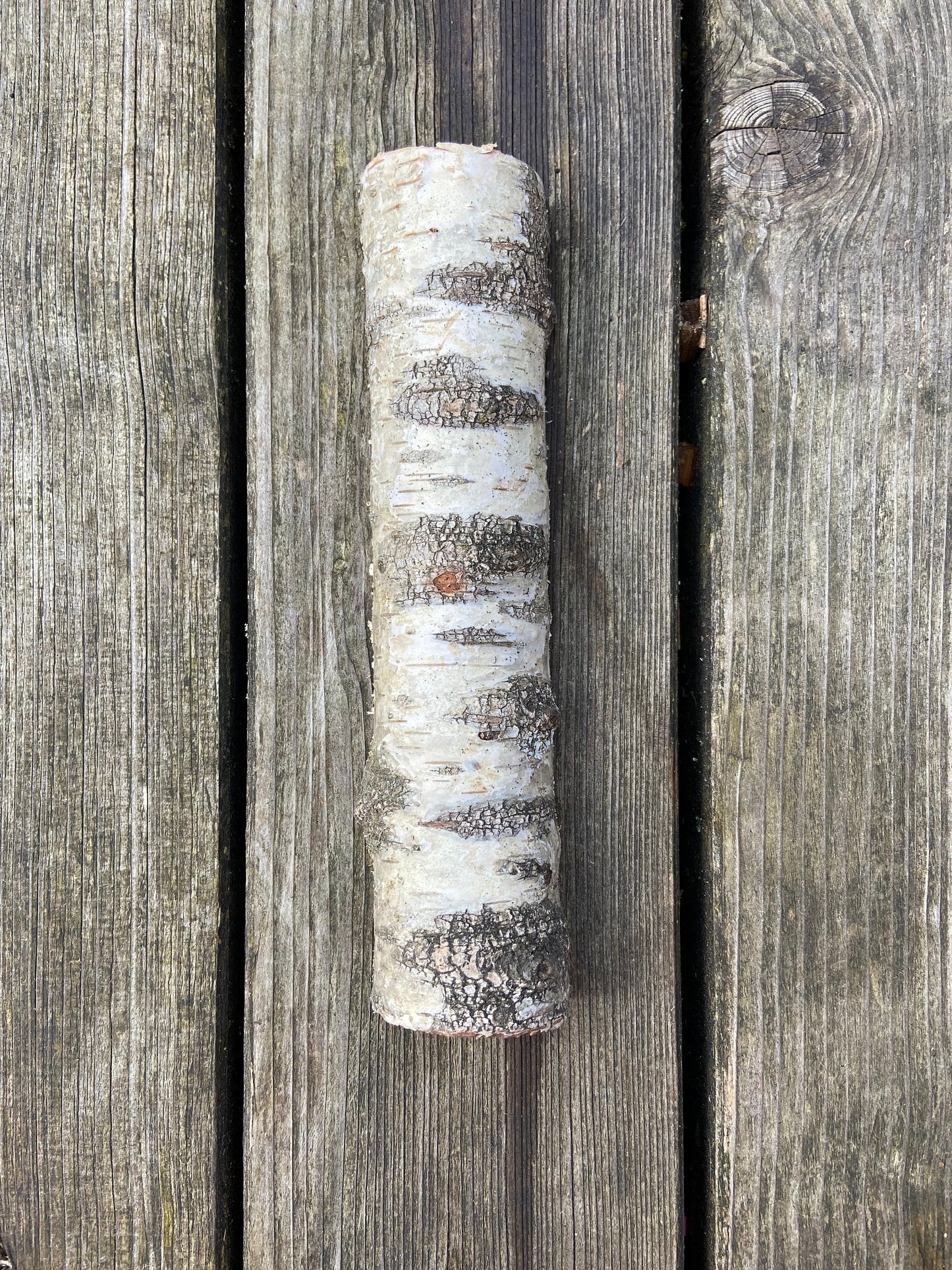 Birkenstamm | halbiert | ca. 20cm