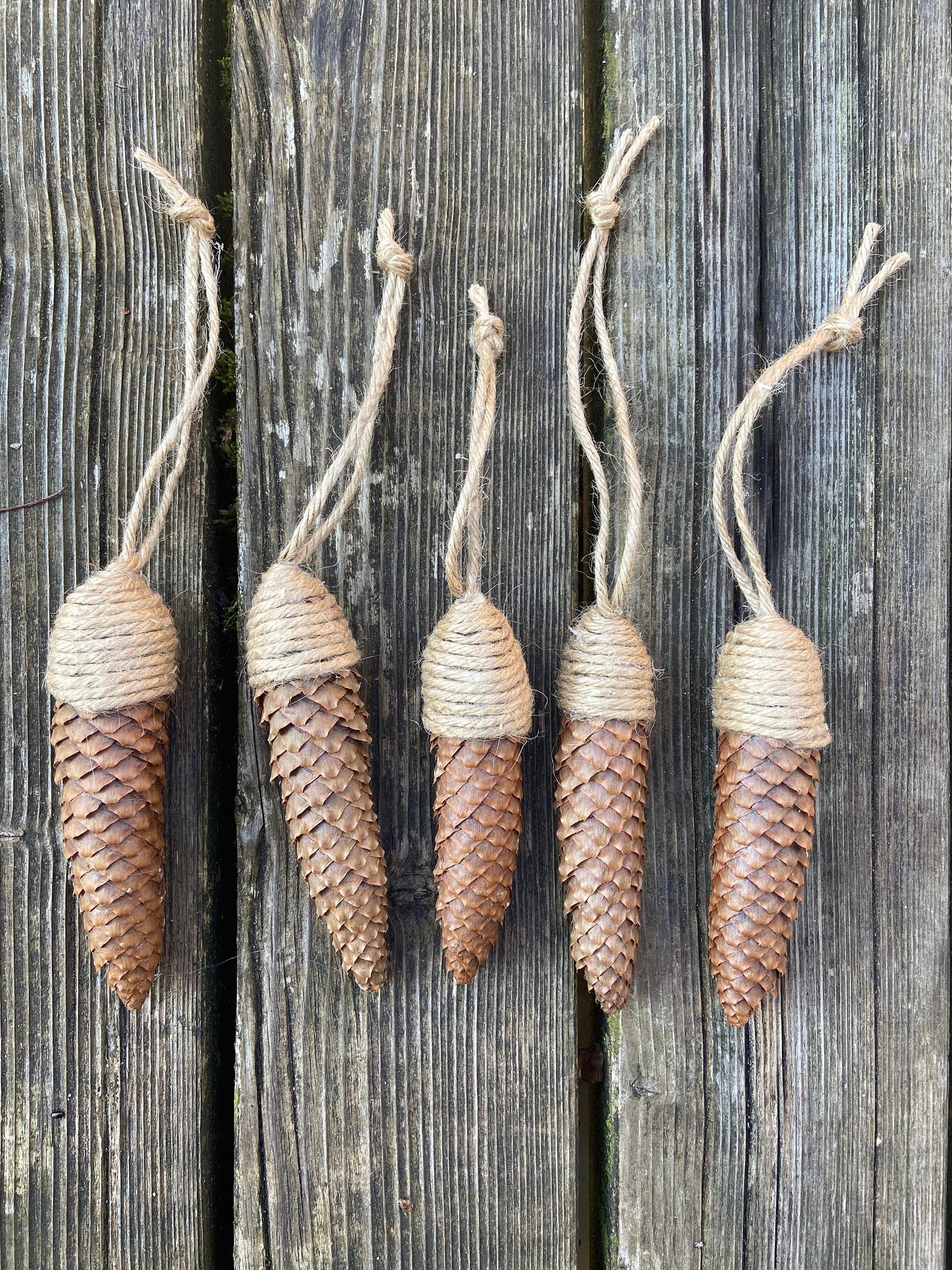 Zapfen der Fichte | zum aufhängen | groß | 10-14 cm