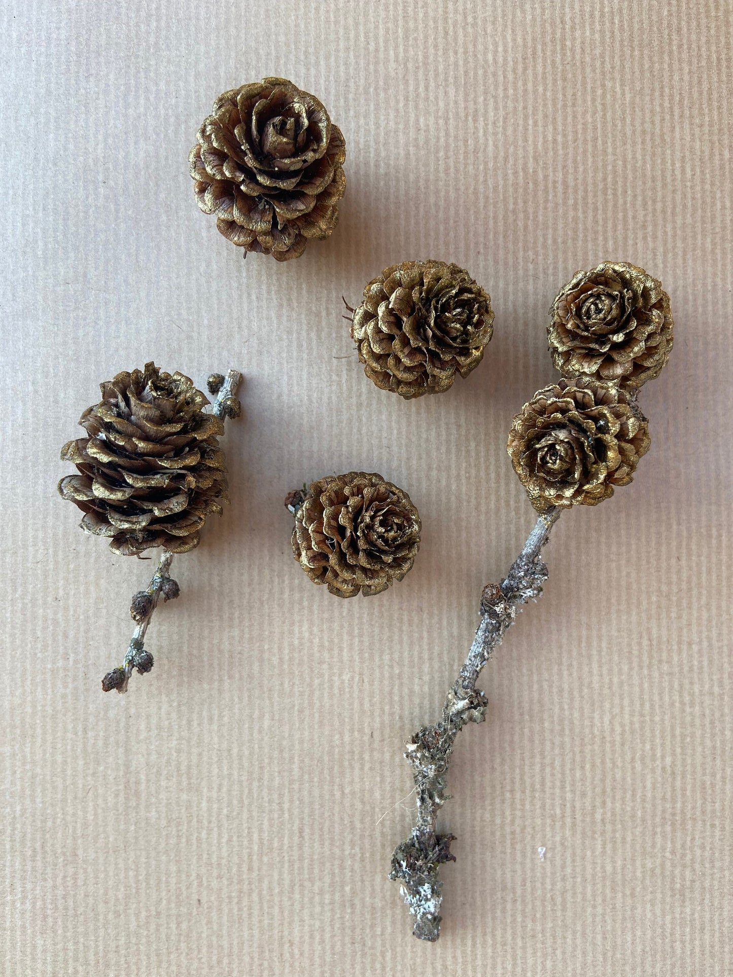 Zapfen der Lärche | gold | groß | 3-4cm | 5er Set
