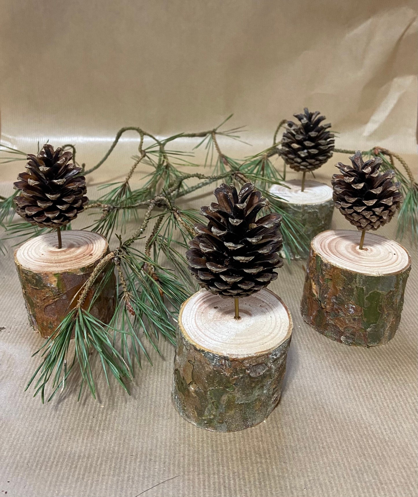 Zapfenbäumchen | mit Zapfen der Kiefer| 4er Set | Höhe ca. 8 cm