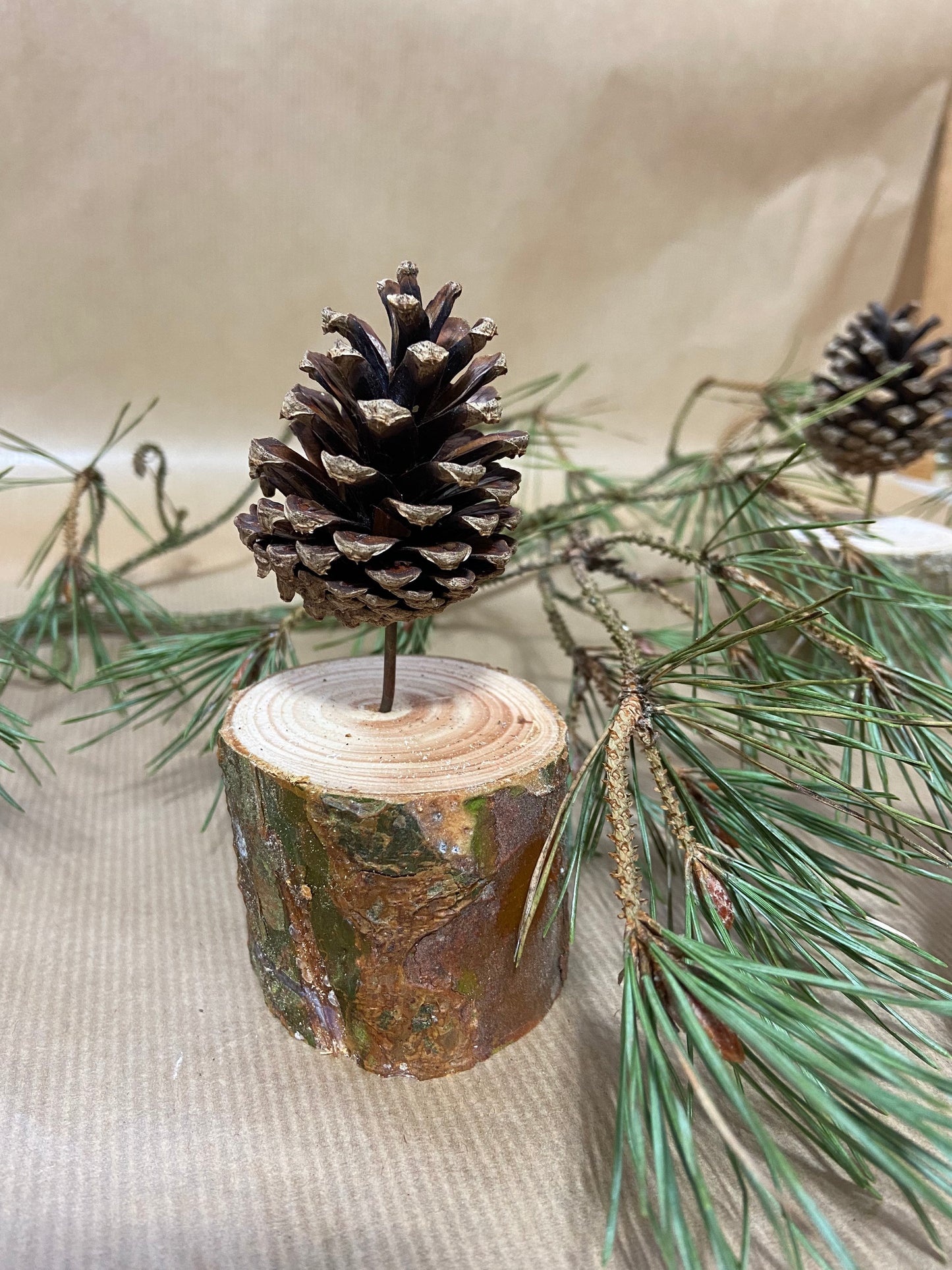Zapfenbäumchen | mit Zapfen der Kiefer| 4er Set | Höhe ca. 8 cm