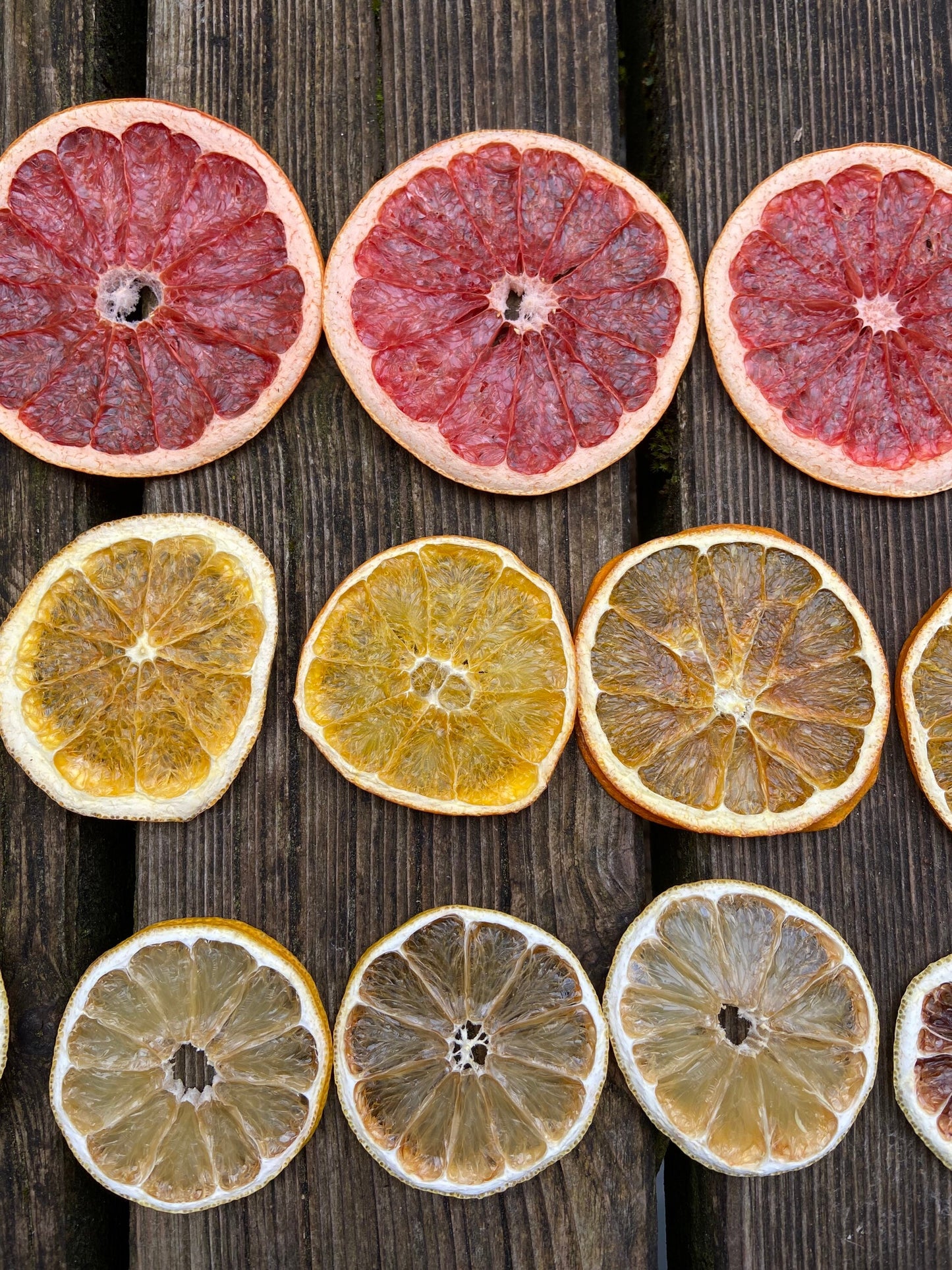 Citrus Mix | getrocknet | Fruchtscheiben
