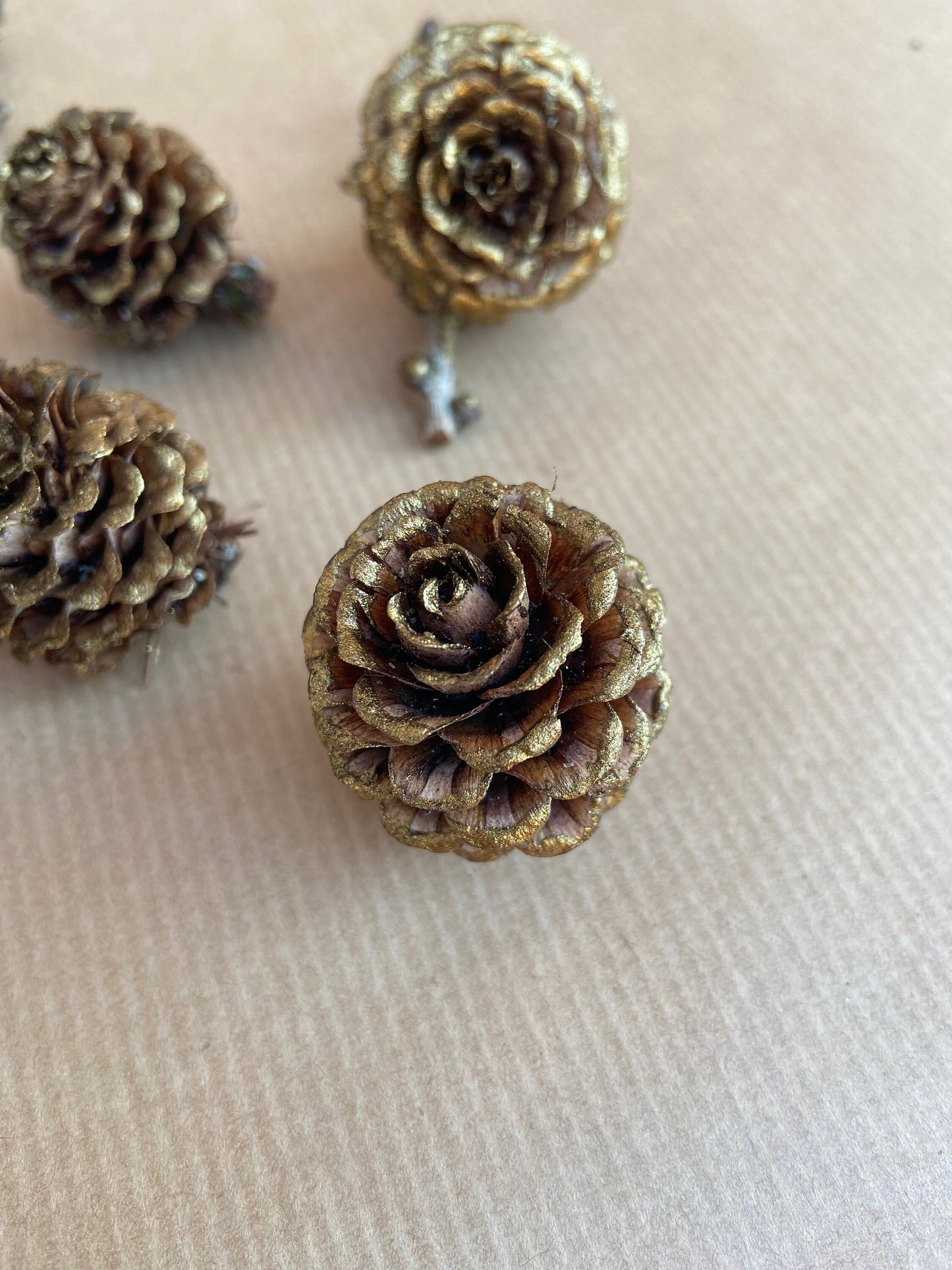 Zapfen der Lärche | gold | groß | 3-4cm | 5er Set