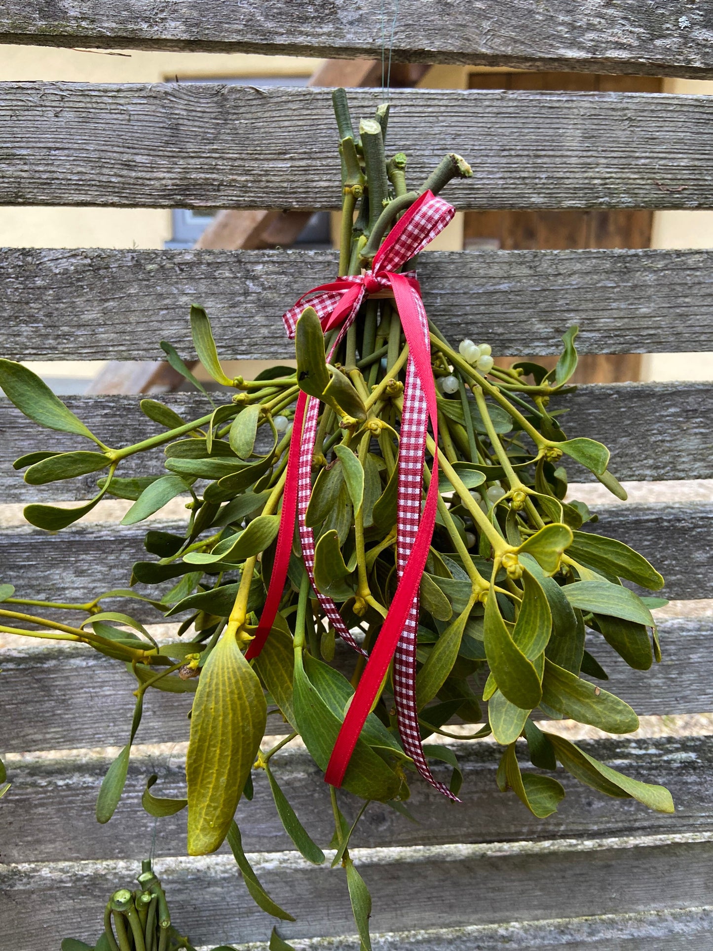 Mistel | Sträußchen | Schleifenband | Weihnachten | Deko | Winter | Advent | Weihnachtsschmuck
