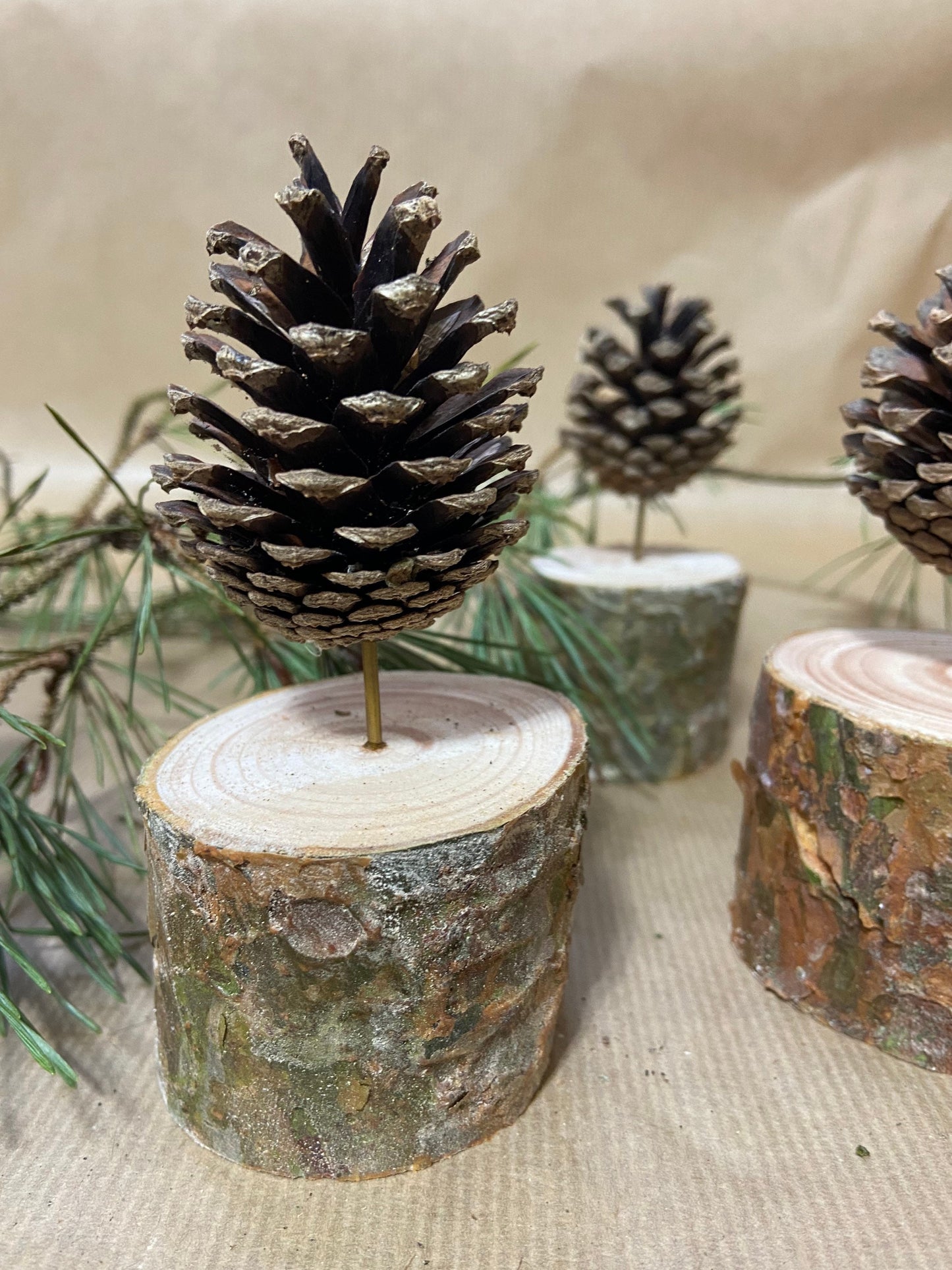 Zapfenbäumchen | mit Zapfen der Kiefer| 4er Set | Höhe ca. 8 cm