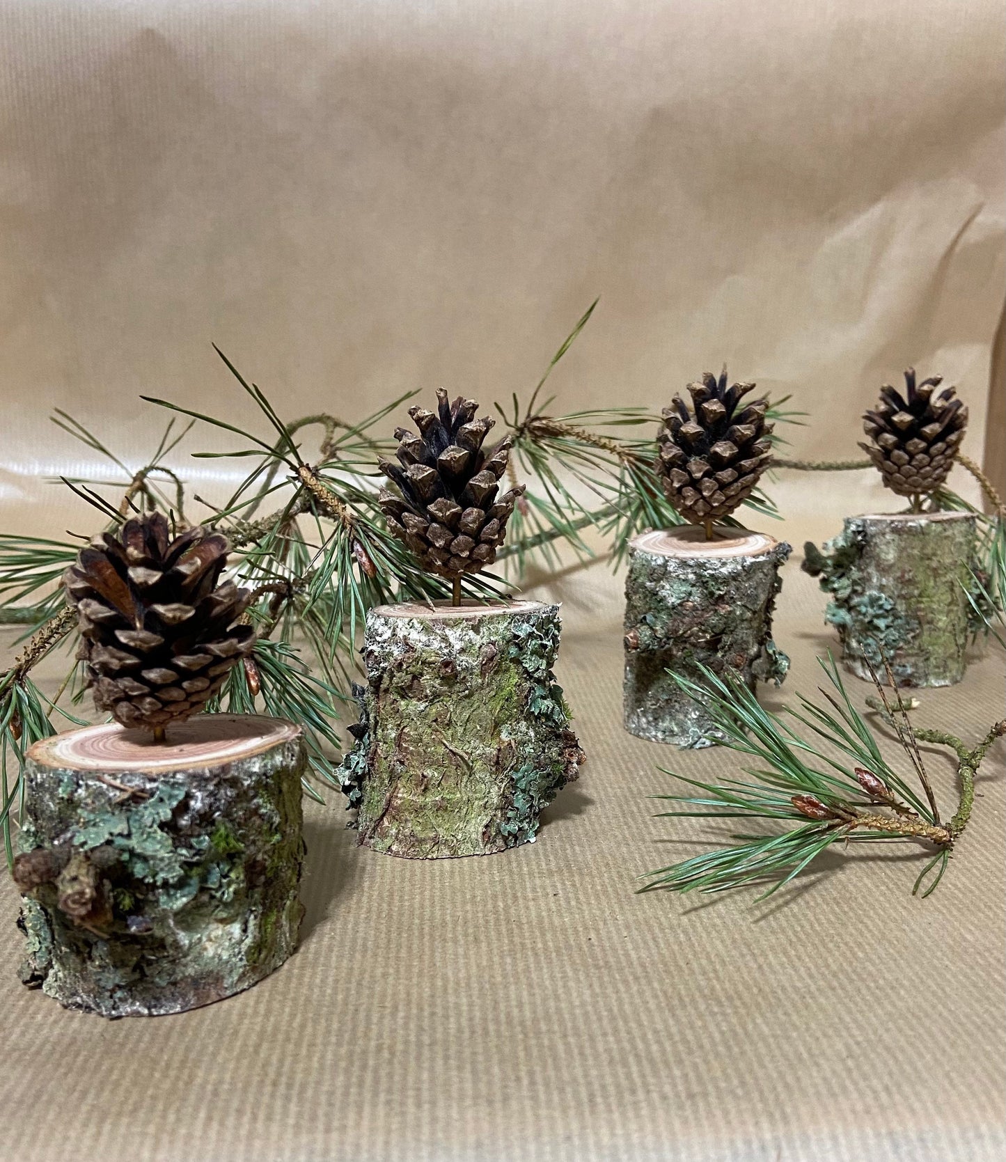 Zapfenbäumchen | mit Zapfen der Kiefer| 4er Set | Höhe ca. 8 cm