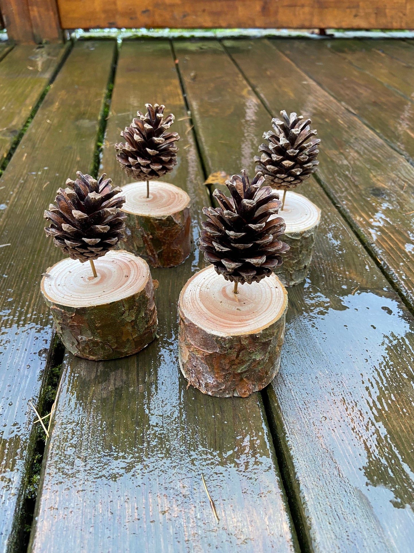 Zapfenbäumchen | mit Zapfen der Kiefer | 4er Set | Höhe ca. 10 cm