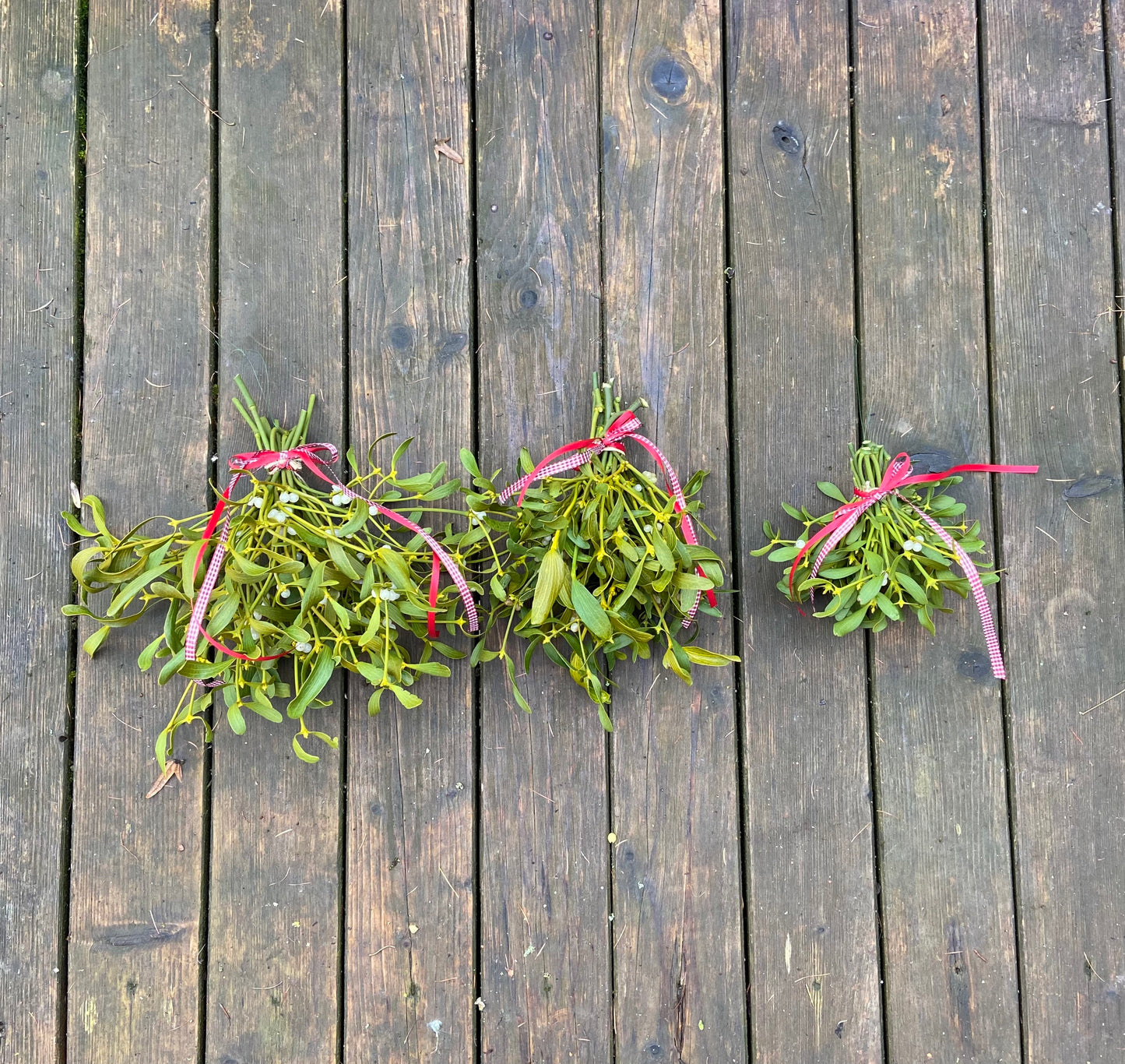 Mistel | Sträußchen | Schleifenband | Weihnachten | Deko | Winter | Advent | Weihnachtsschmuck