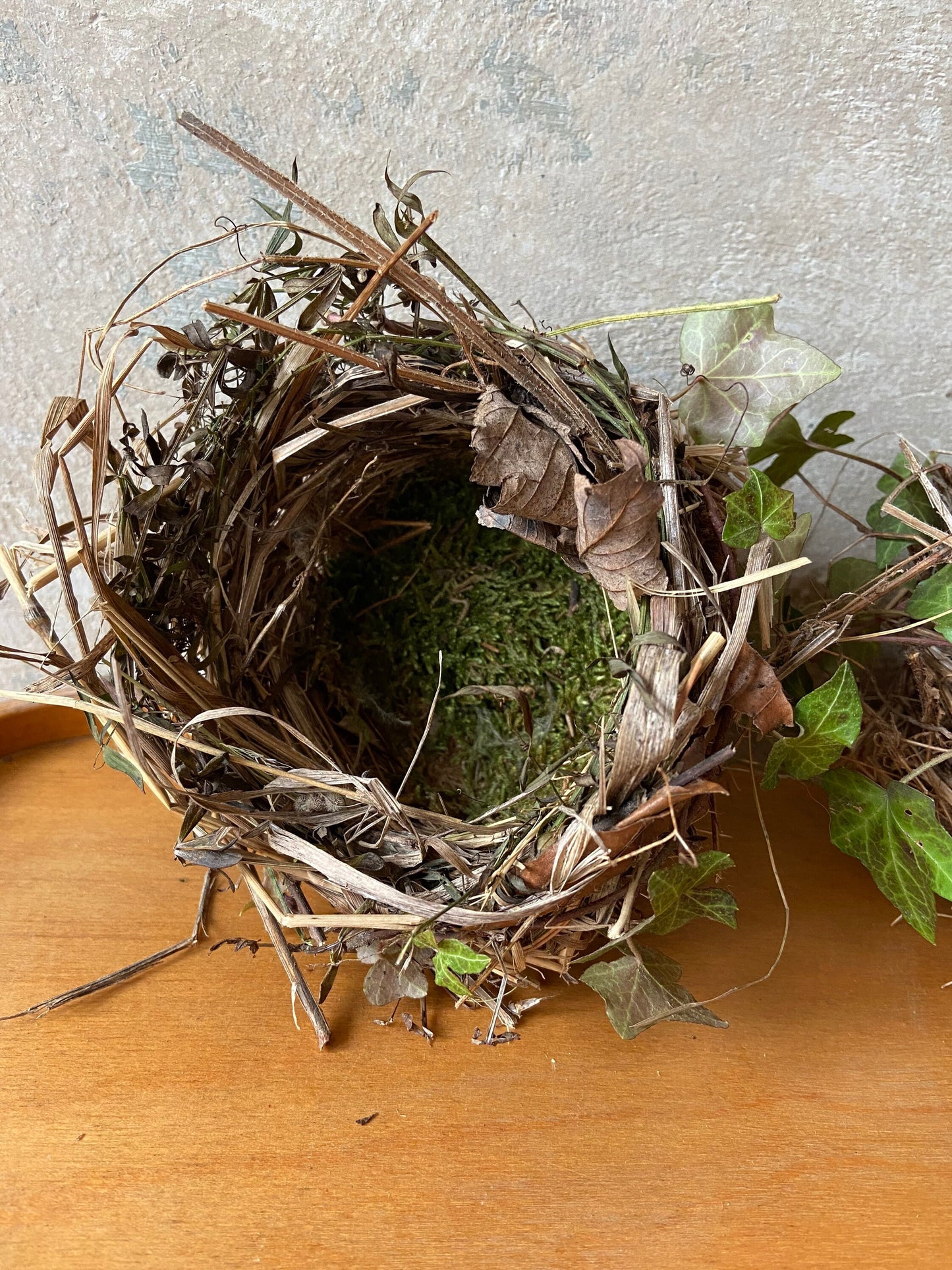 Nest | Frühling | Ostern