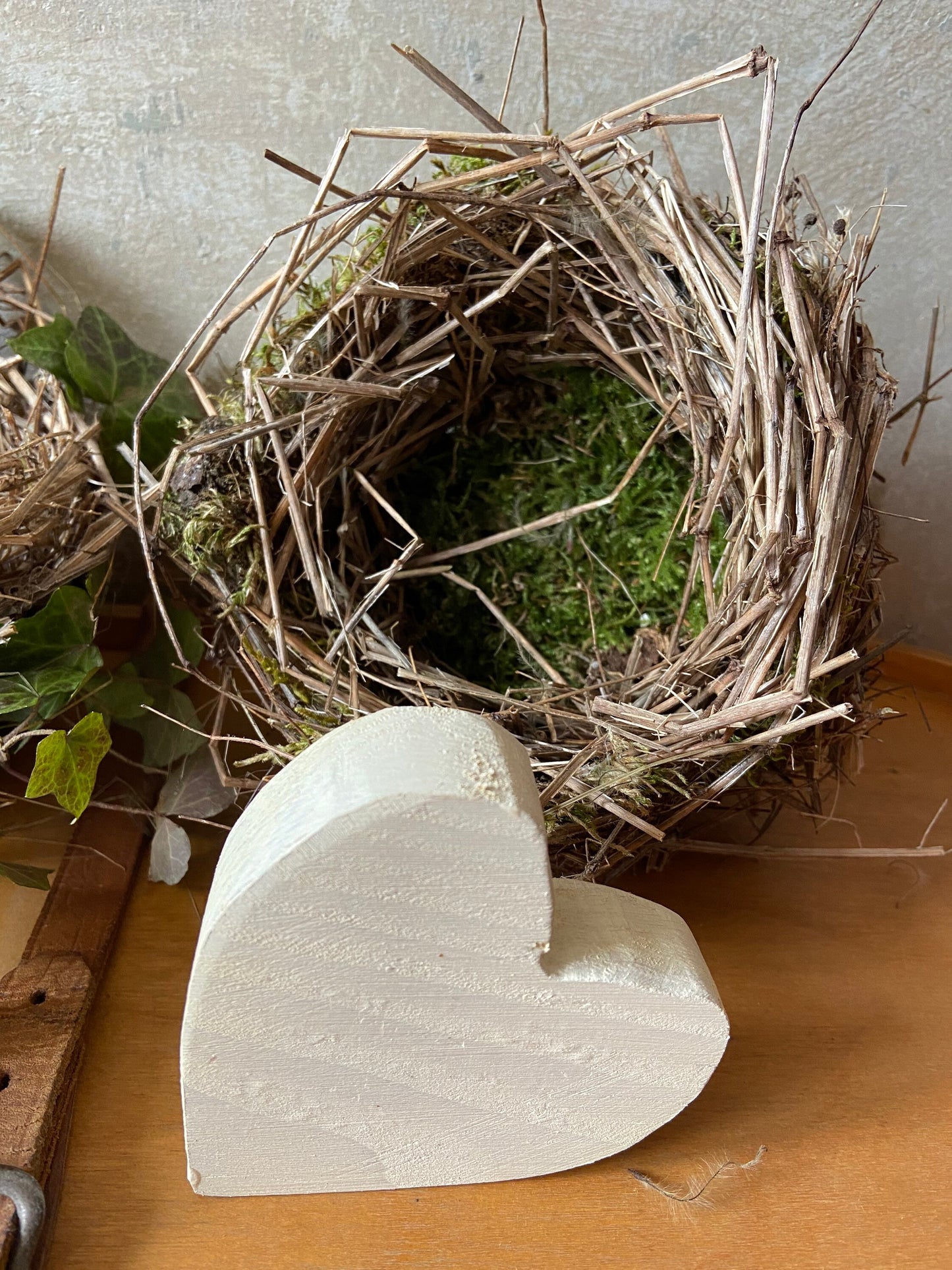 Nest | Frühling | Ostern