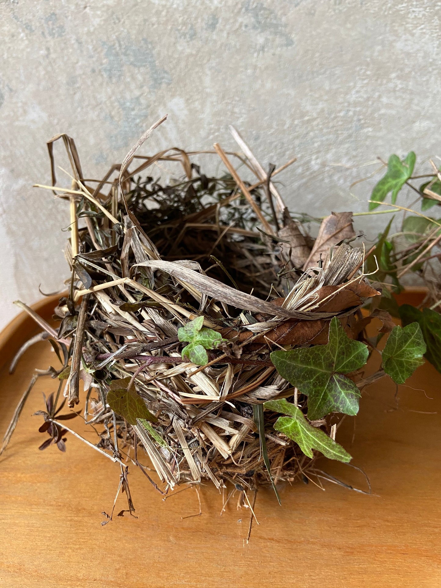Nest | Frühling | Ostern