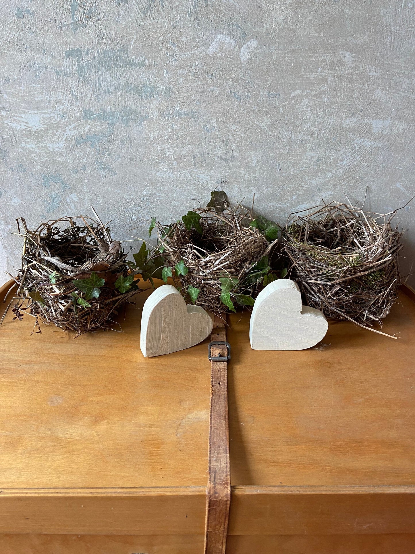 Nest | Frühling | Ostern