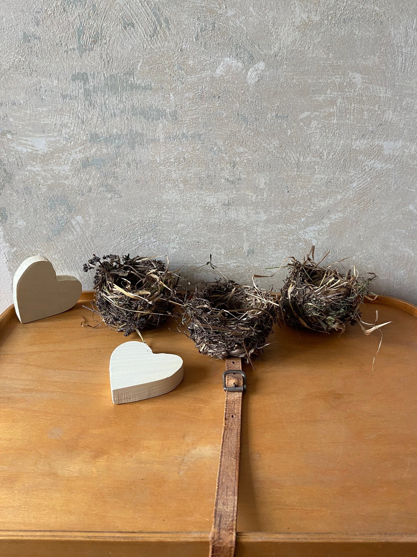 Nest | Frühling | Ostern | klein