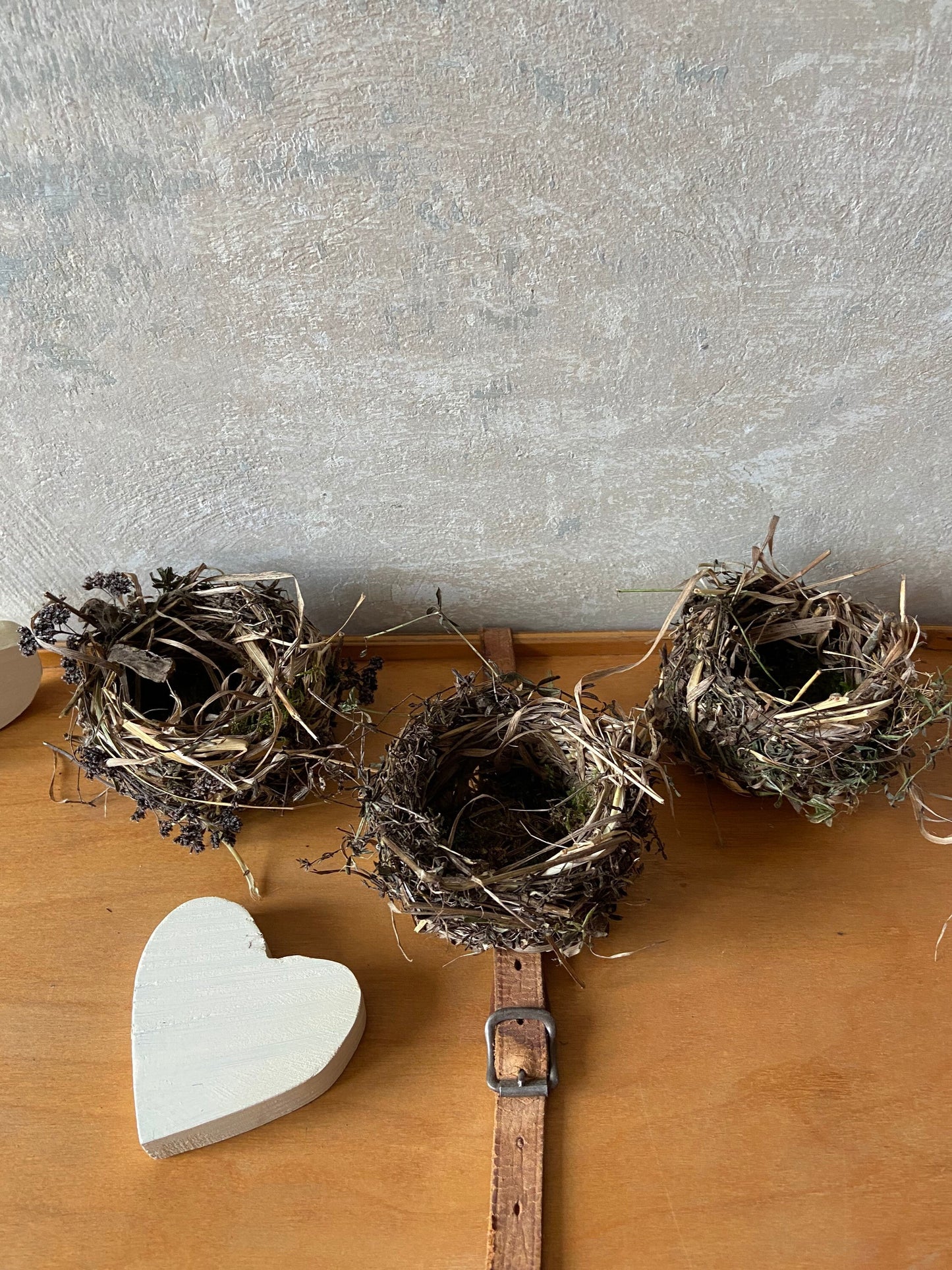 Nest | Frühling | Ostern | klein