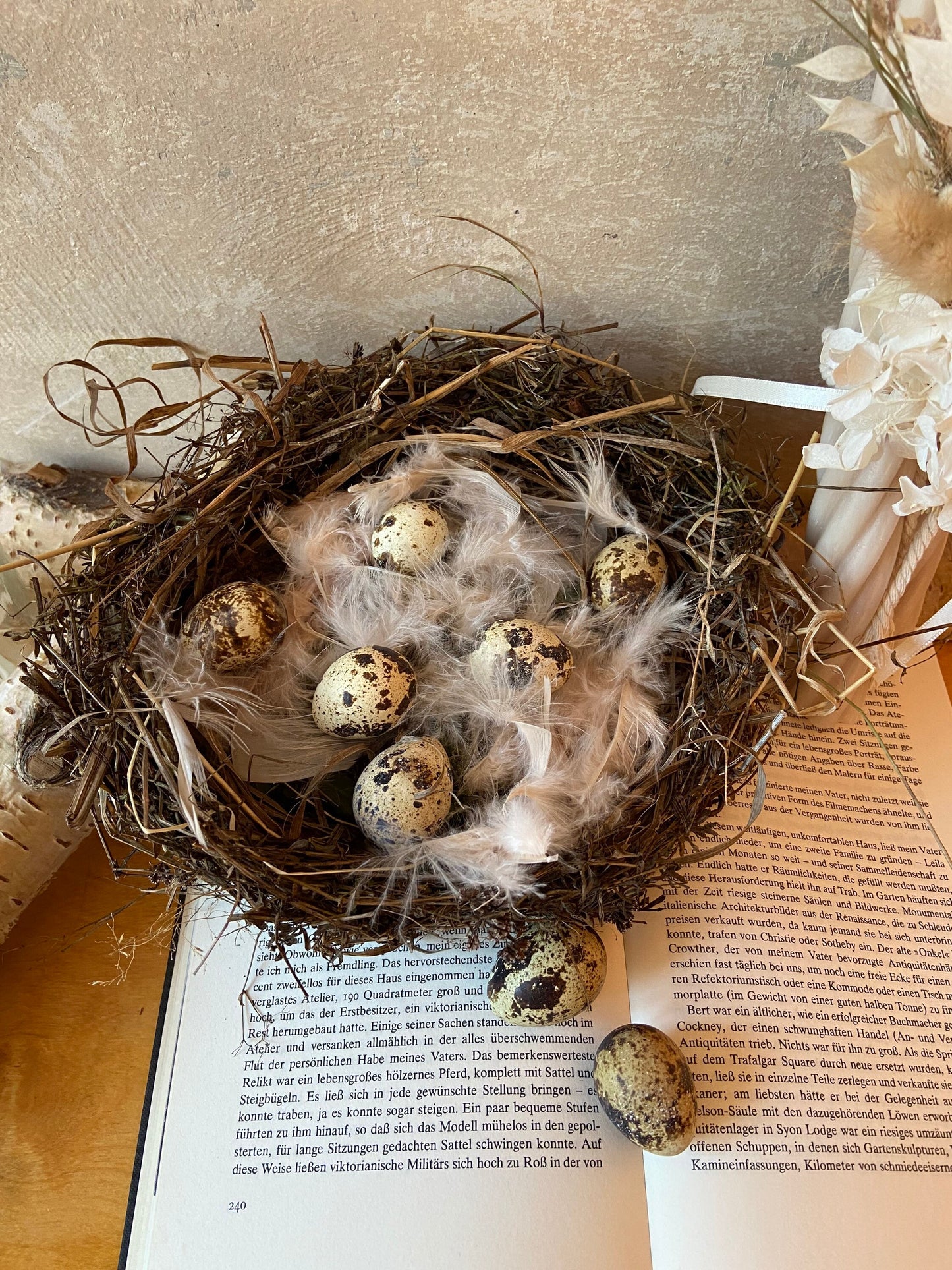 Nest | Frühling | Ostern | Eier | Federn