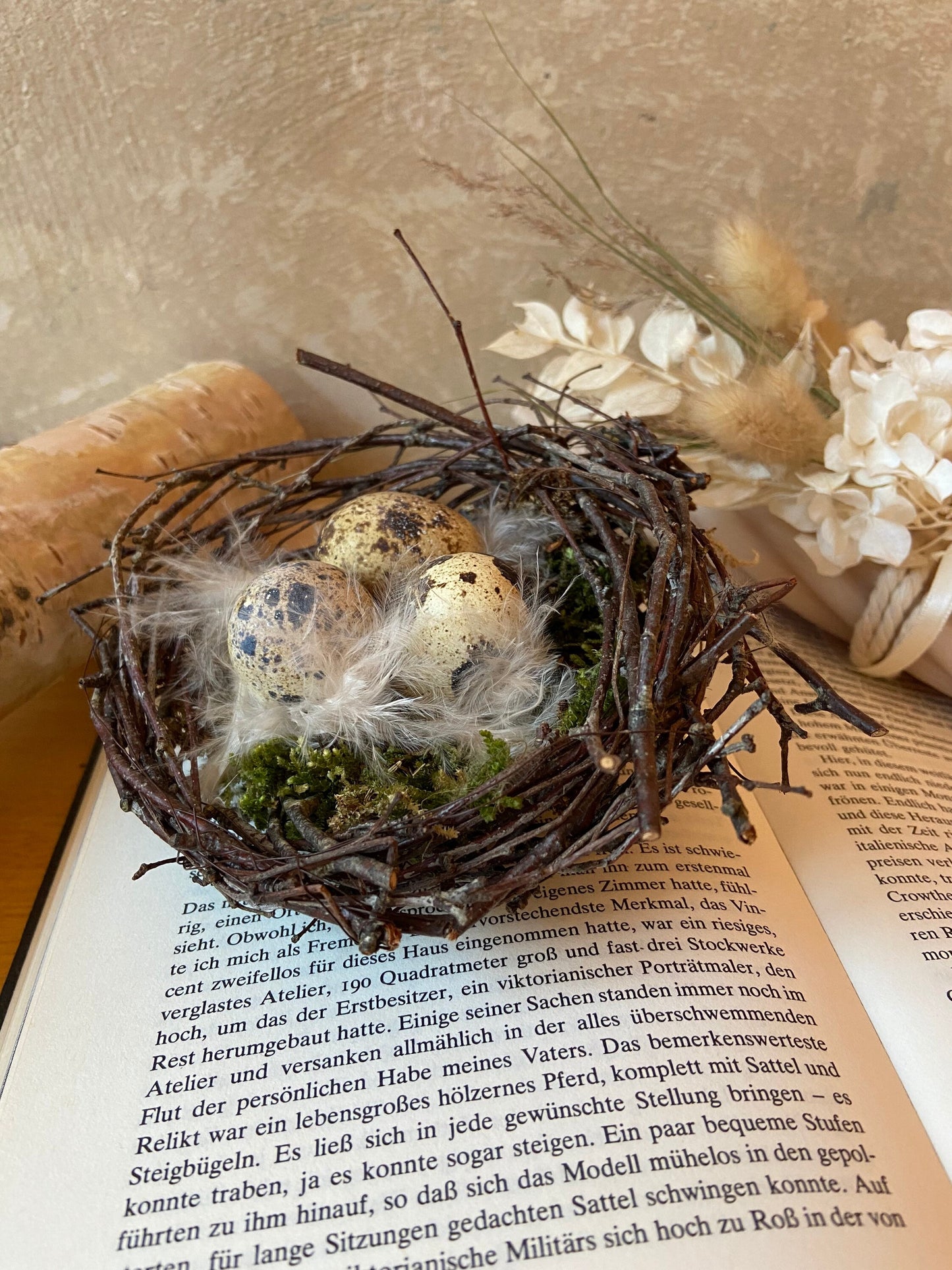 Nest | Frühling | Ostern | Wachteleier | Federn | Birkenzweige