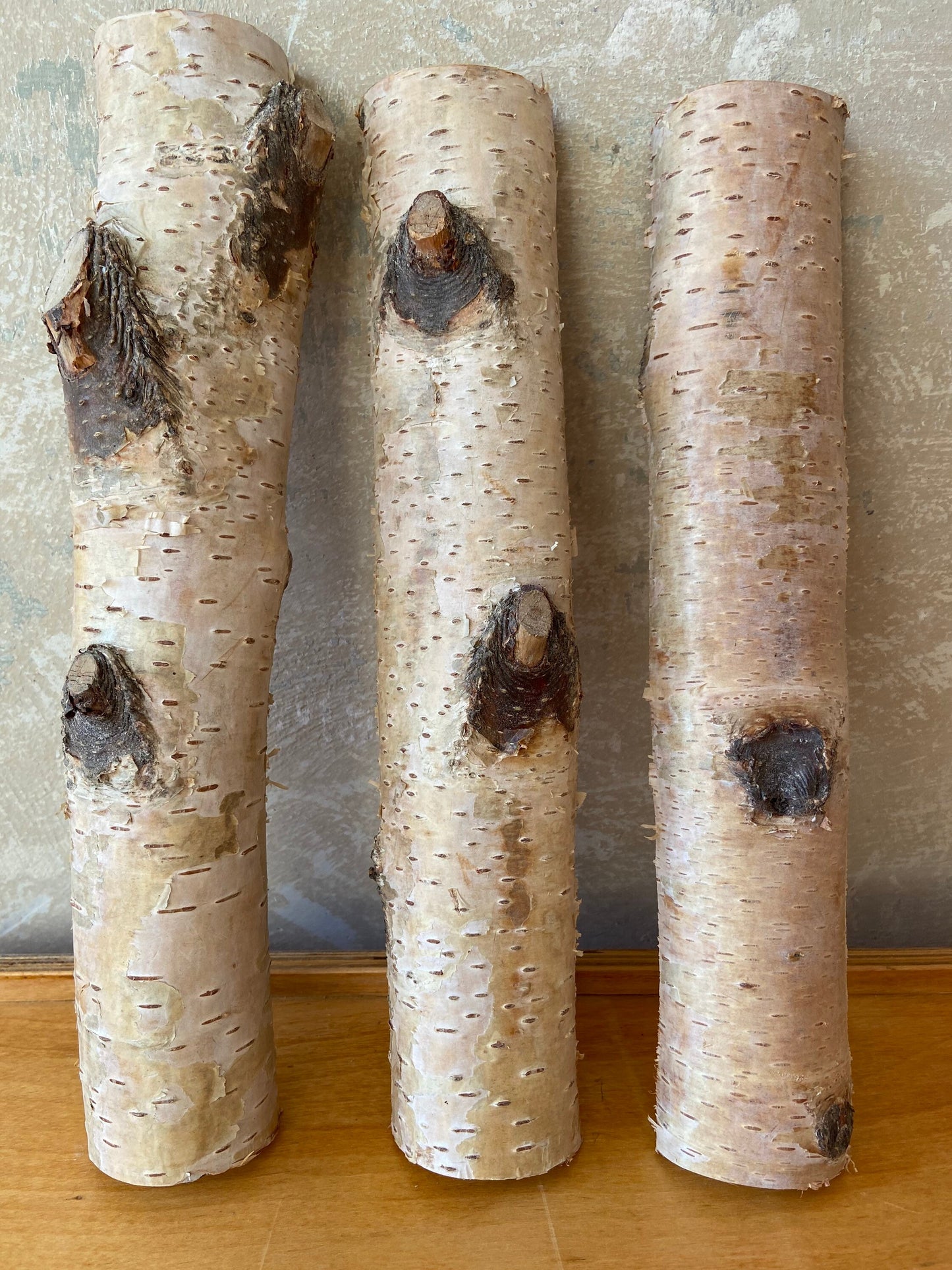 Birkenstamm | halbiert | ca. 30cm