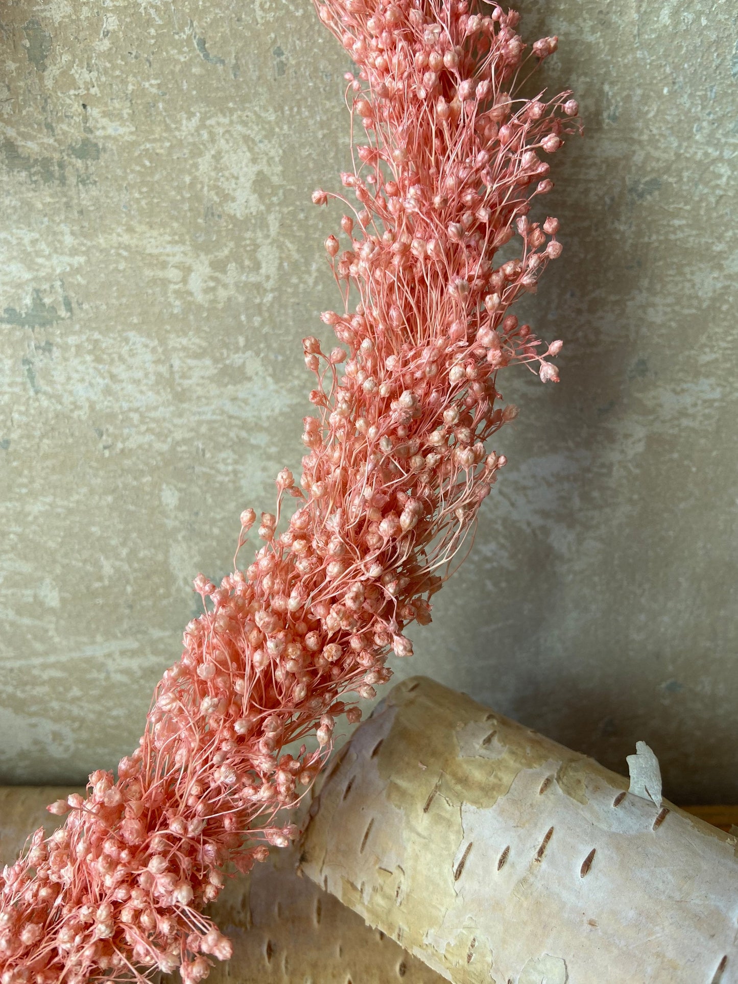 Herz | Trockenblumen | rosé