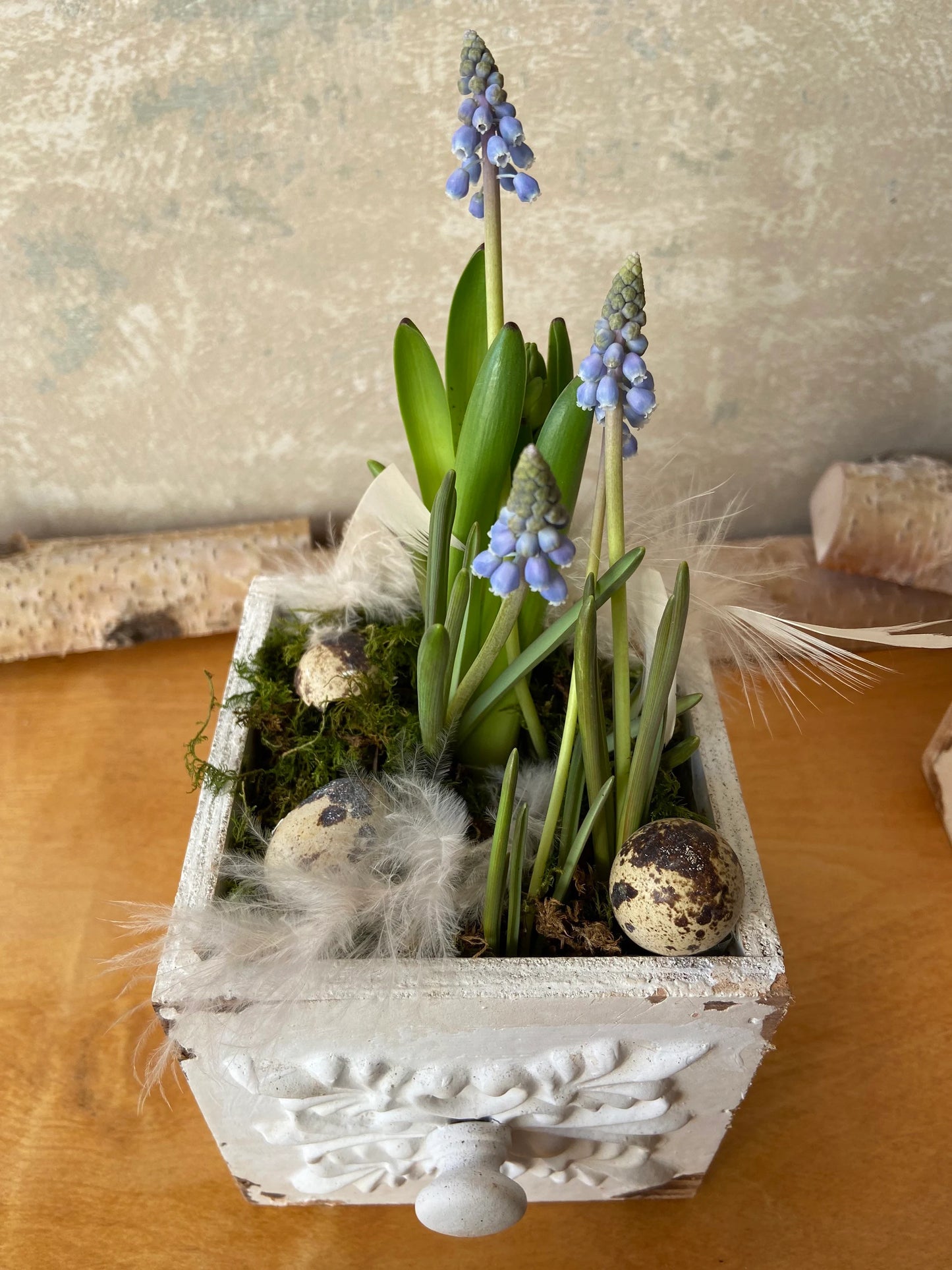 Pflanzschublade | Shabby-Look | verschiedene Größen