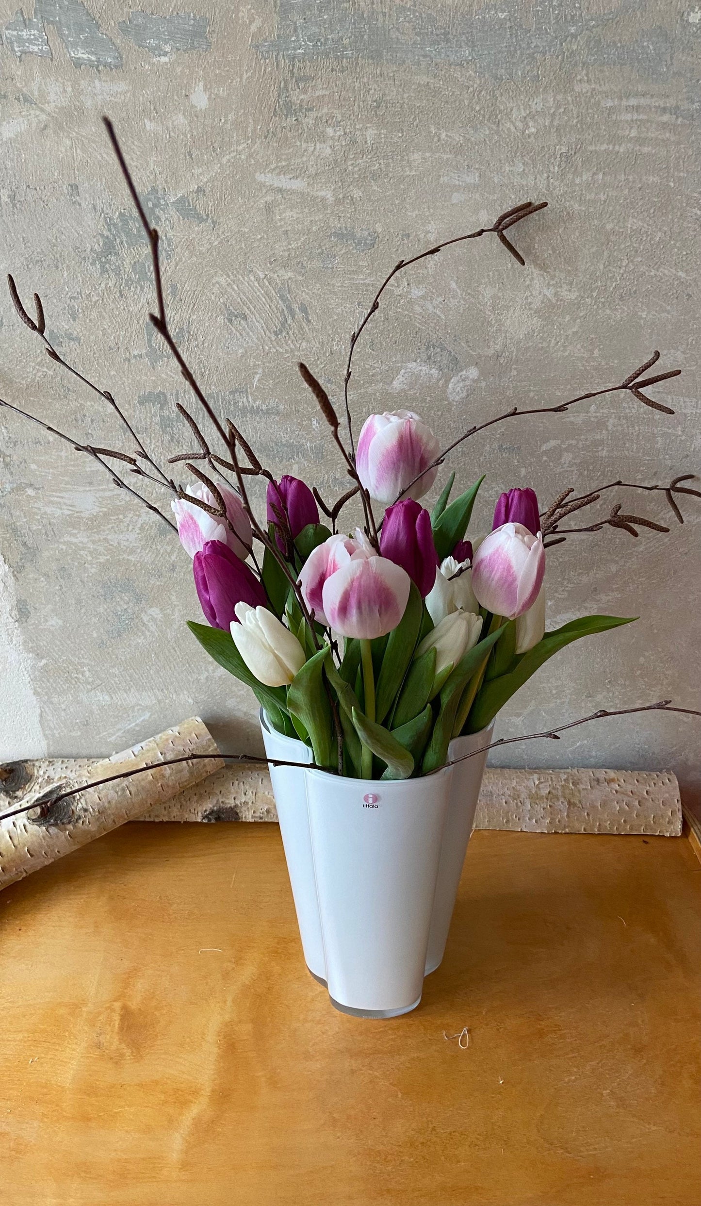 Birkenzweige | Zweige für die Vase | Birke | Frühling | Birke | Vasenzweige