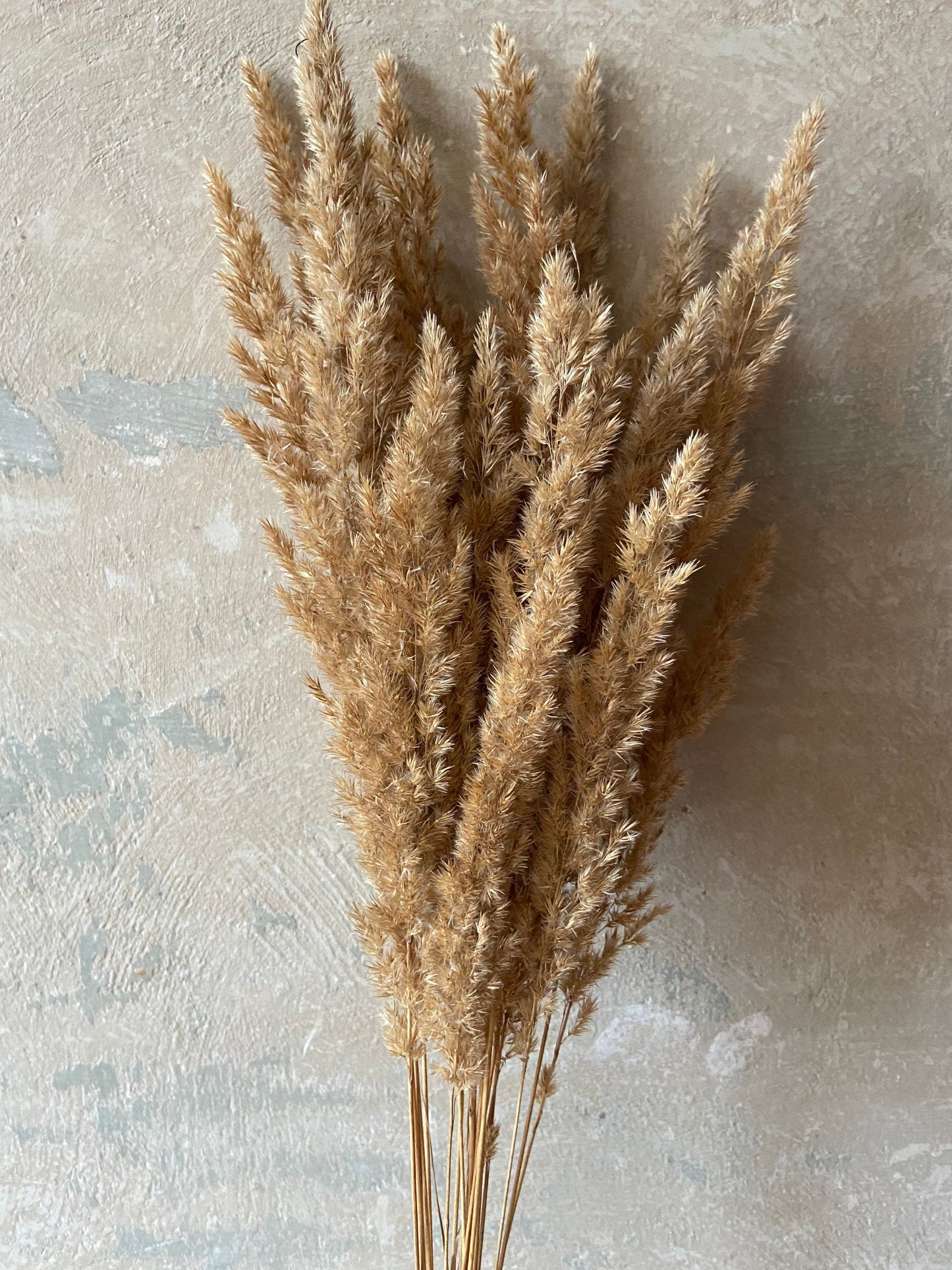 Gras Sträußchen getrocknet