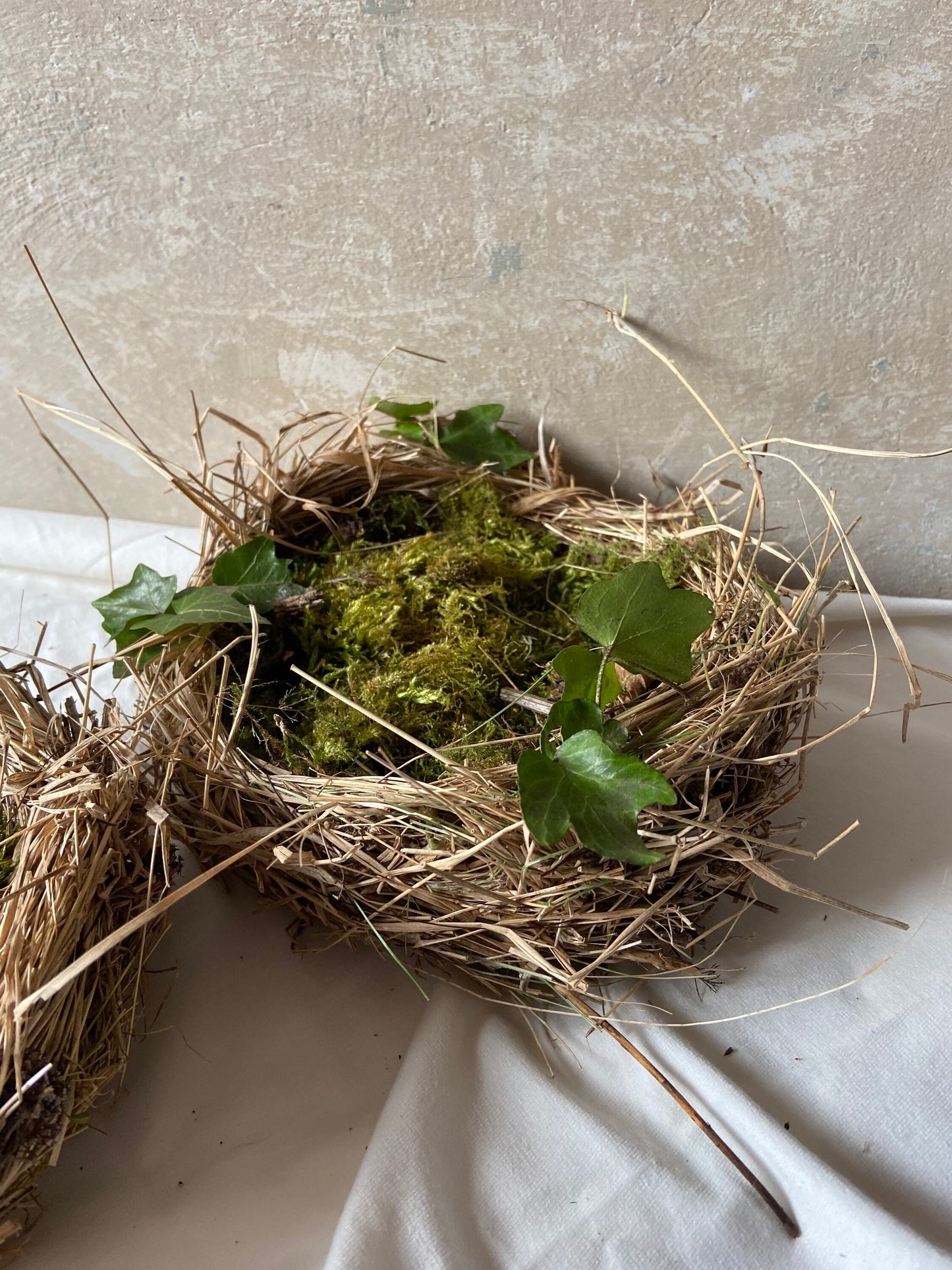 Nest | Frühling | Ostern | flach