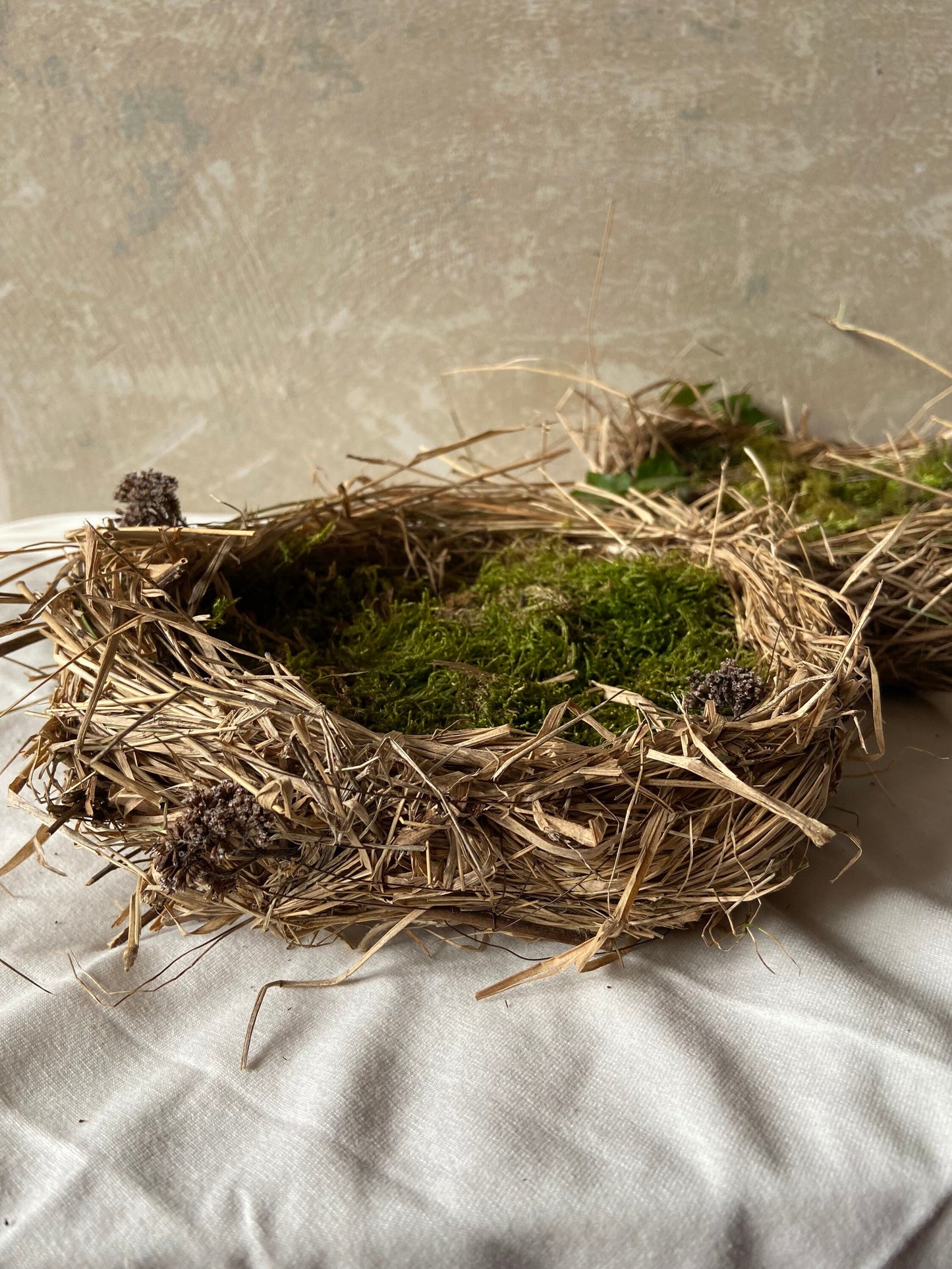 Nest | Frühling | Ostern | flach
