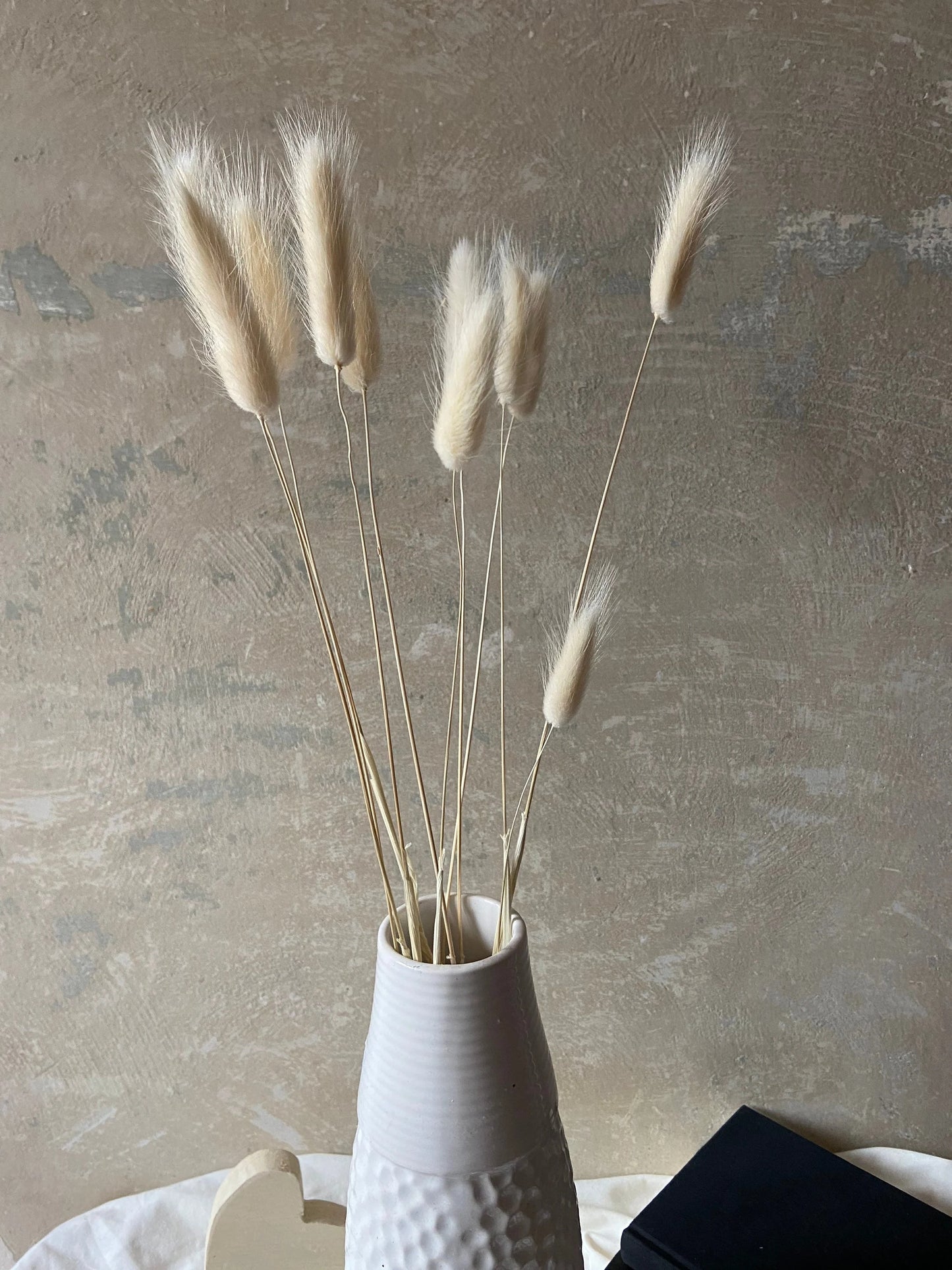 Samtgras | Lagurus | naturcreme | ca 40-50cm | Trockenblumen | Gräser | Zweige für die Vase | Naturdeko | zeitlos | Scandi-Chic | Boho Style