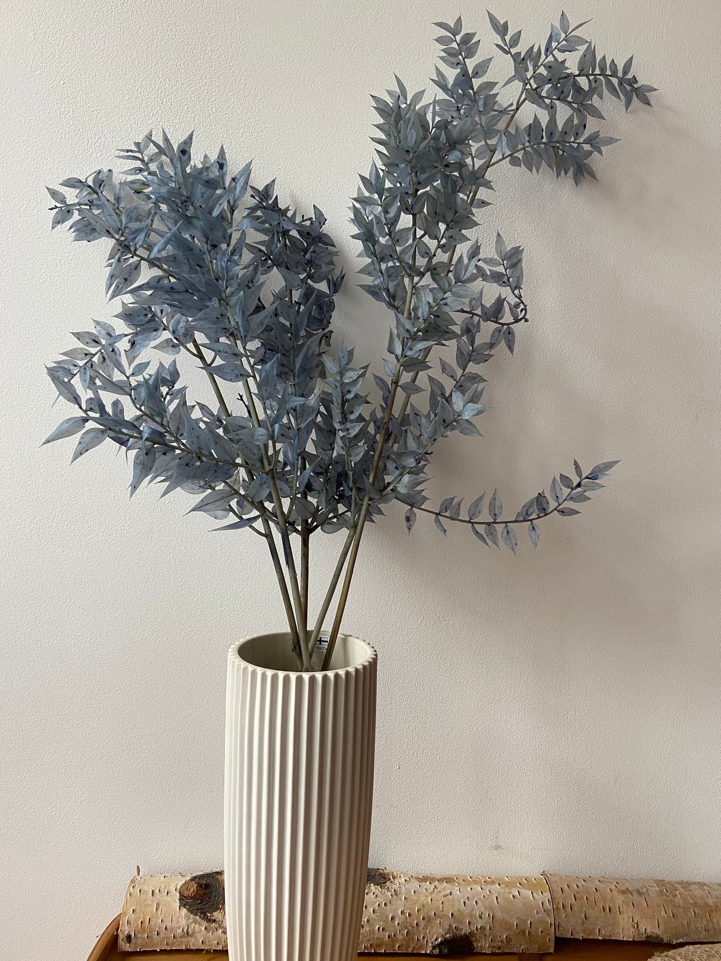 Ruskus | stechender Mäusedorn | Dornmyrte | silbergrau | graublau | Trockenblume | Zweige für die Vase | Home Decor | Blumendeko