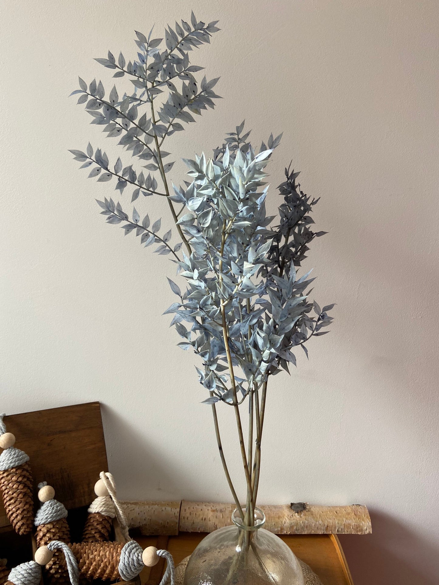 Ruskus | stechender Mäusedorn | Dornmyrte | silbergrau | graublau | Trockenblume | Zweige für die Vase | Home Decor | Blumendeko