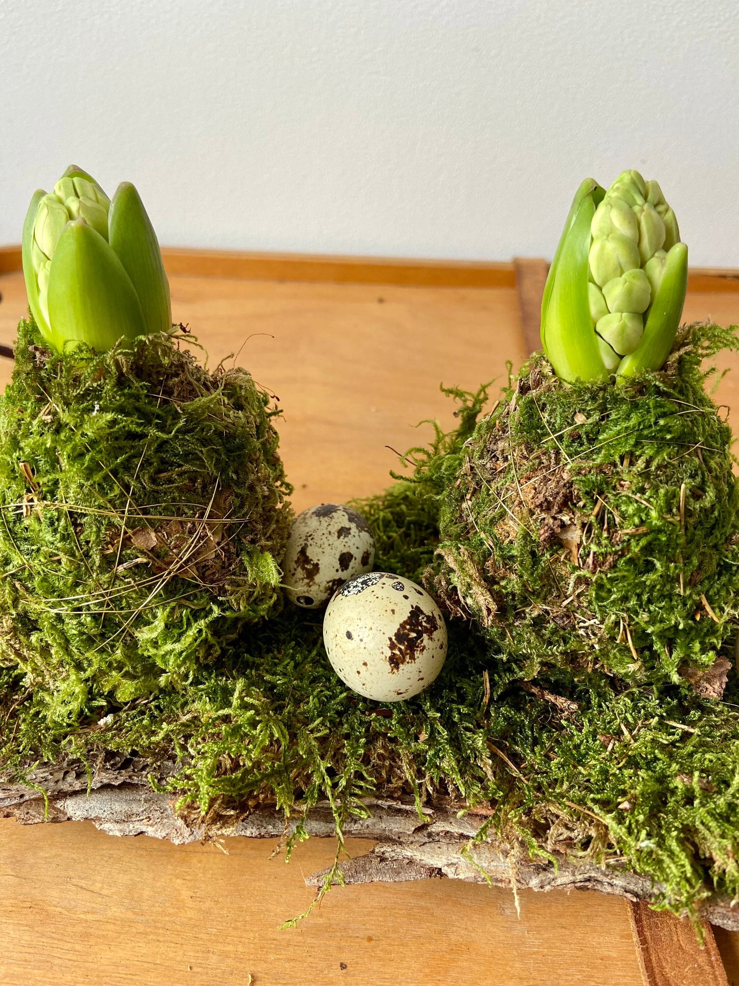 Hyazinthe in Moos | Osterdekoration | Tischdekoration | Frühlingsdeko | Moos | Ostern | Hyazinthe | Frühlingsblüher | NaturDeko