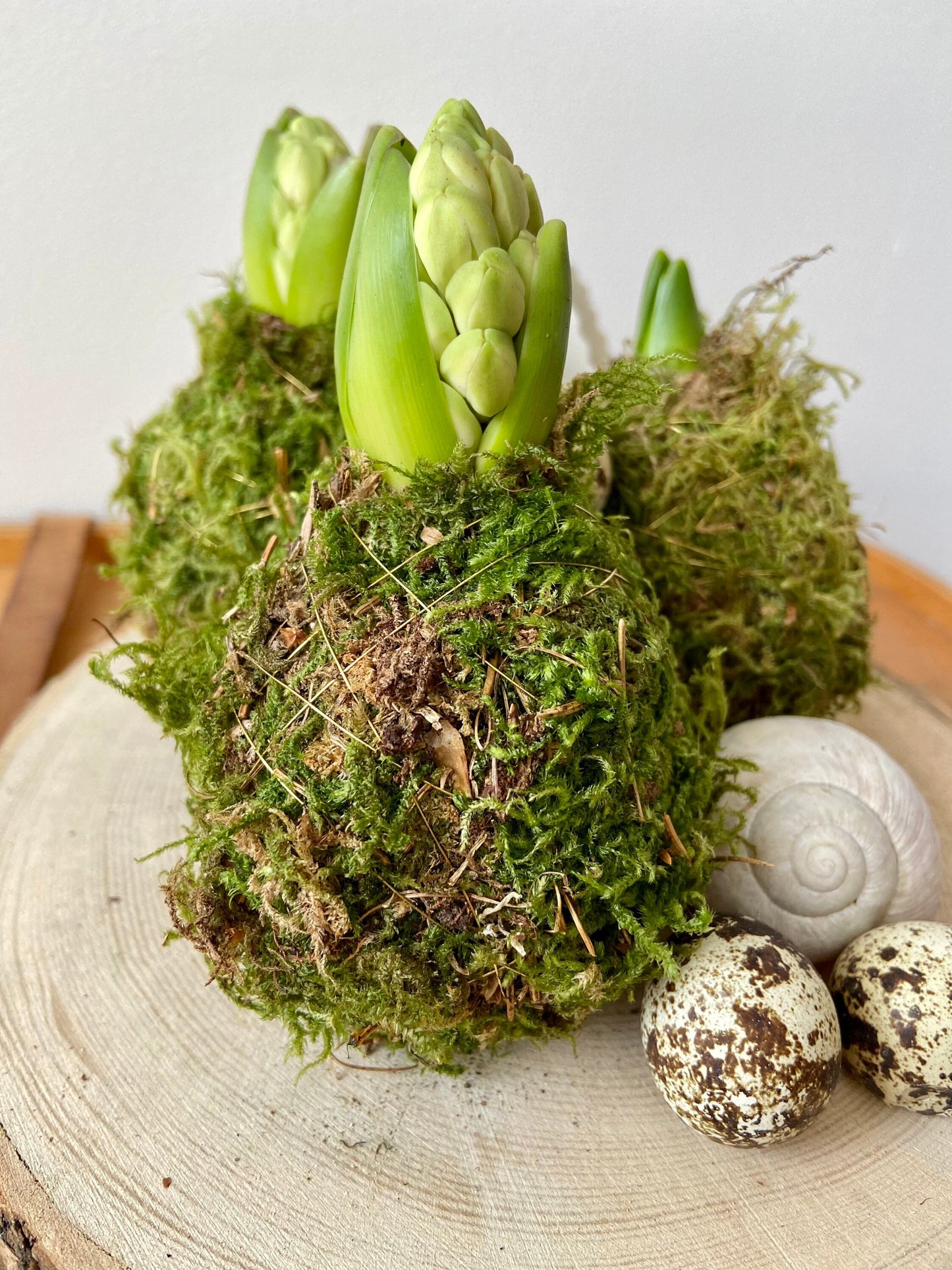 Hyazinthe in Moos | Osterdekoration | Tischdekoration | Frühlingsdeko | Moos | Ostern | Hyazinthe | Frühlingsblüher | NaturDeko