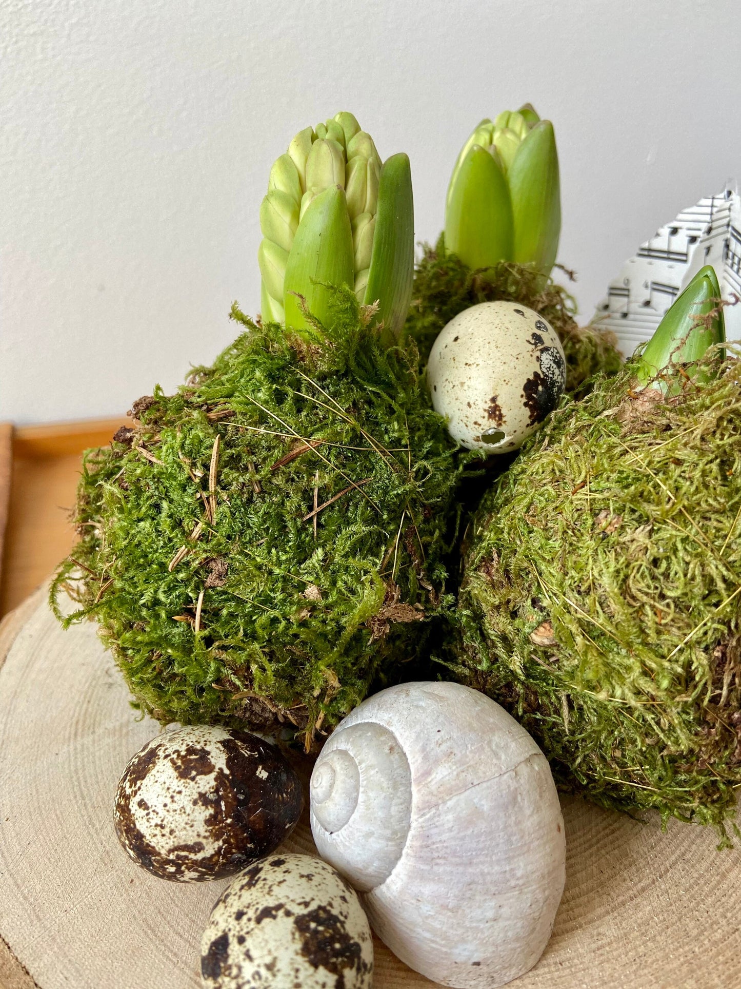 Hyazinthe in Moos | Osterdekoration | Tischdekoration | Frühlingsdeko | Moos | Ostern | Hyazinthe | Frühlingsblüher | NaturDeko