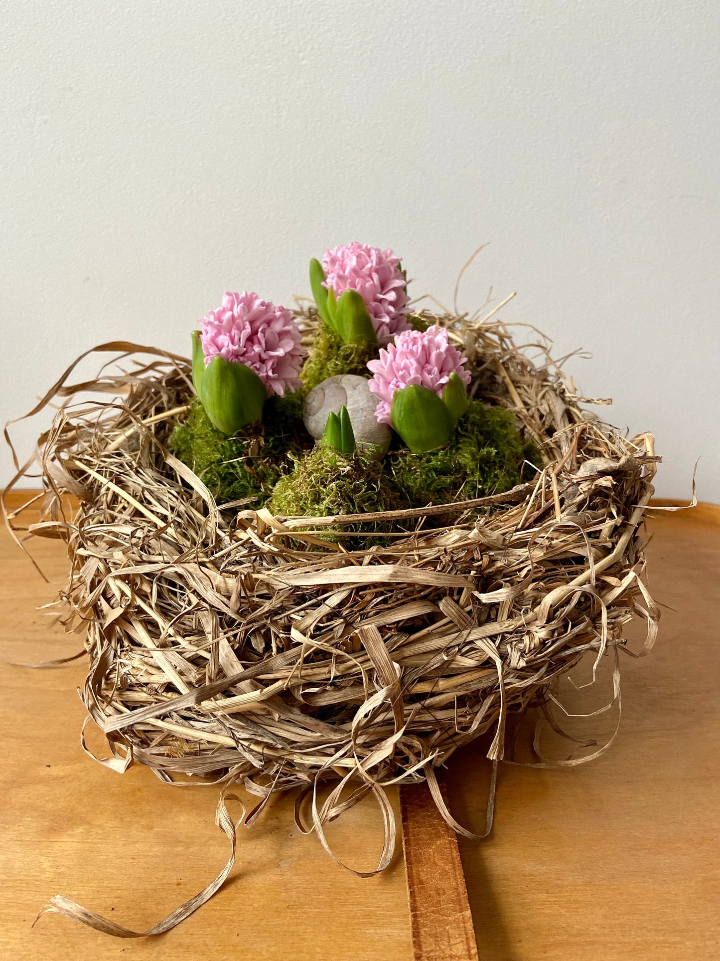 Nest | Frühling | Ostern | groß | Hyazinthen | Schneckenhaus | Frühlingsbote | Blüten in Moos