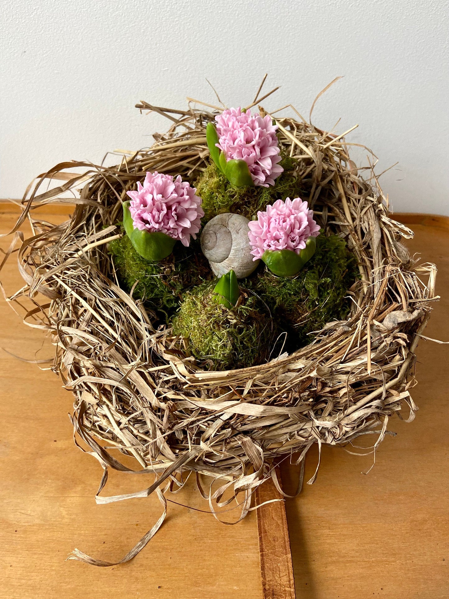 Nest | Frühling | Ostern | groß | Hyazinthen | Schneckenhaus | Frühlingsbote | Blüten in Moos