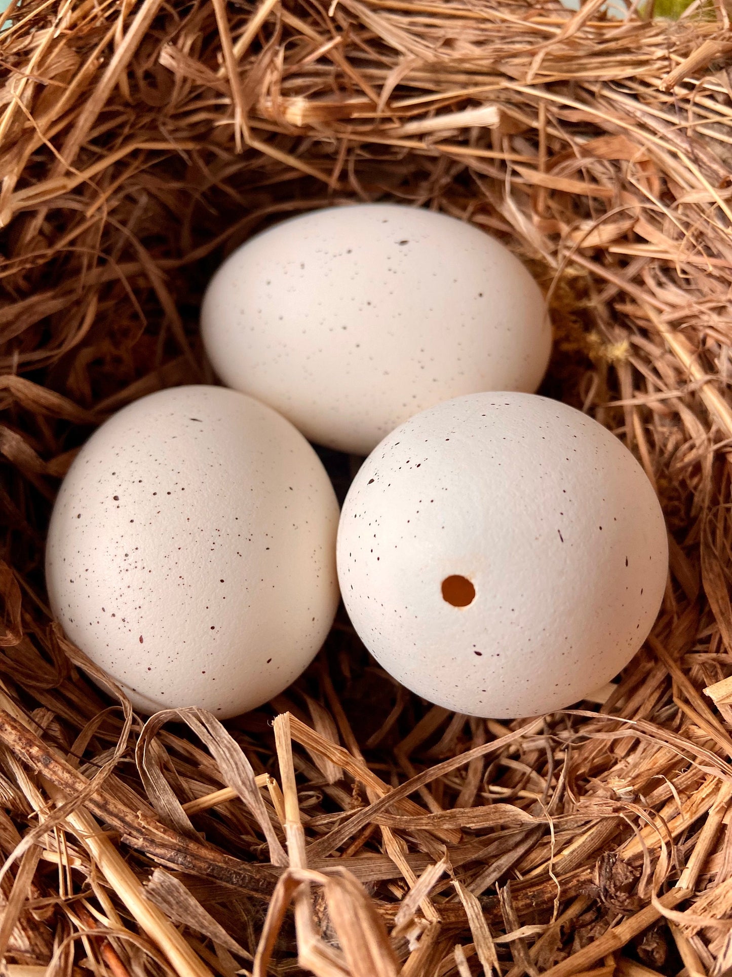 Gänseei weiß mit schwarzen Punkten | Ostern | Deko | Osterei | Frühing | Osterdeko