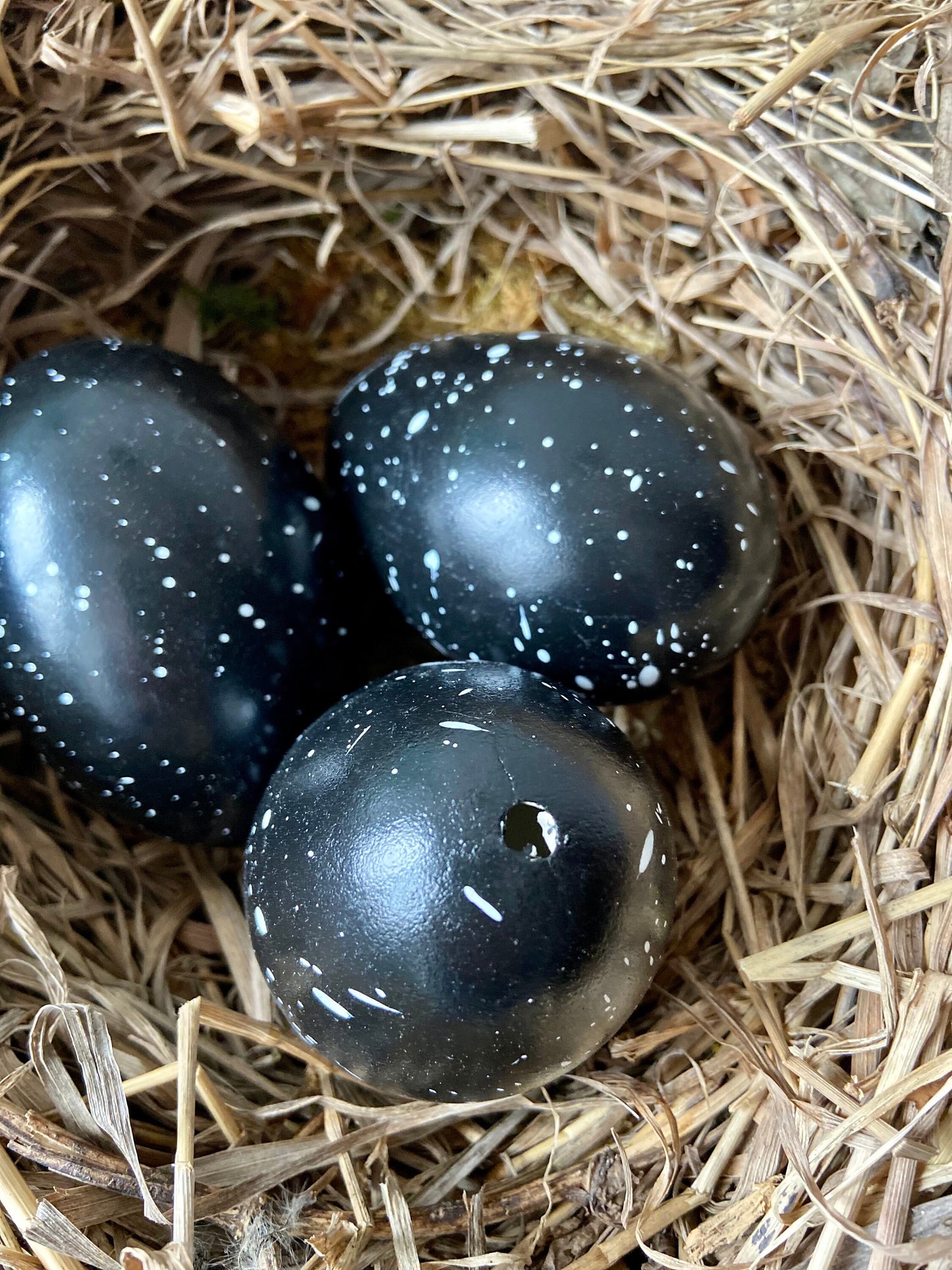 Gänseei schwarz mit weißen Punkten | Ostern | Deko | Osterei | Frühing | Osterdeko