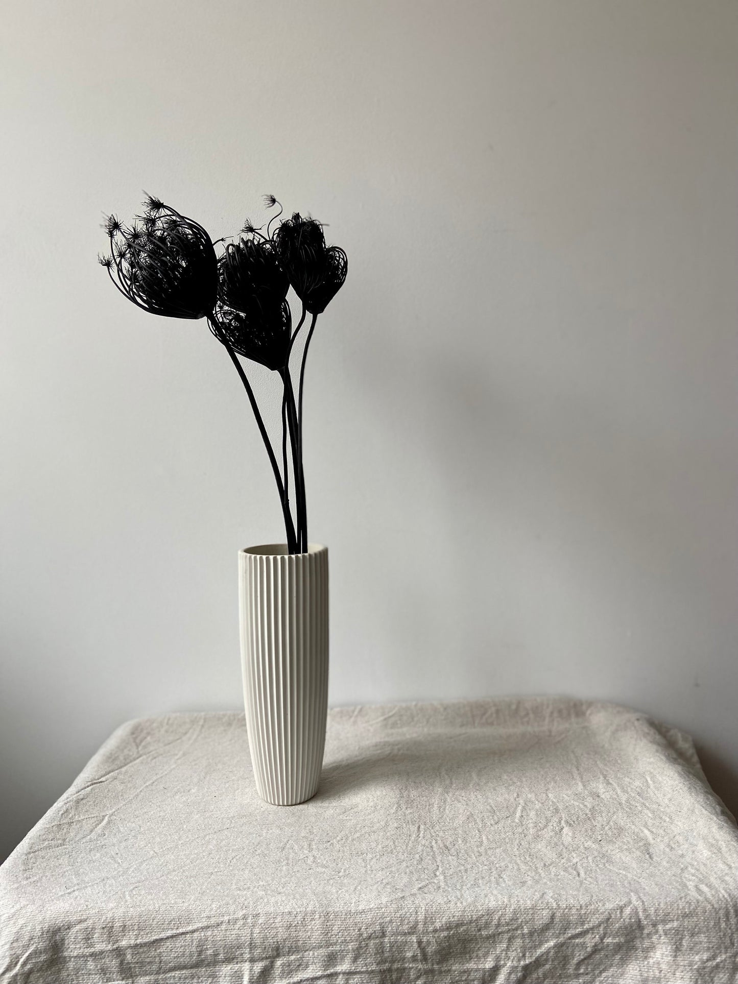 Fenchelblüten | schwarz | getrocknete Blüten | Fenchel schwarz | Trockenblume | Frühling | Zweige für die Vase | Blütenzweig | Ostern | Home