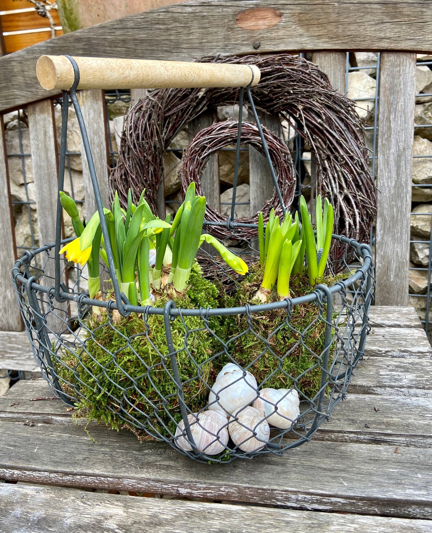 Osterglocken in Moos | Narzissen | Osterdekoration | Tischdekoration | Frühlingsdeko | Moos | Ostern | Frühlingsblüher | NaturDeko