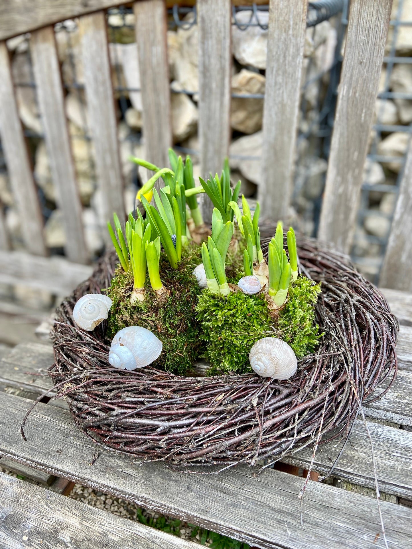 Osterglocken in Moos | Narzissen | Osterdekoration | Tischdekoration | Frühlingsdeko | Moos | Ostern | Frühlingsblüher | NaturDeko