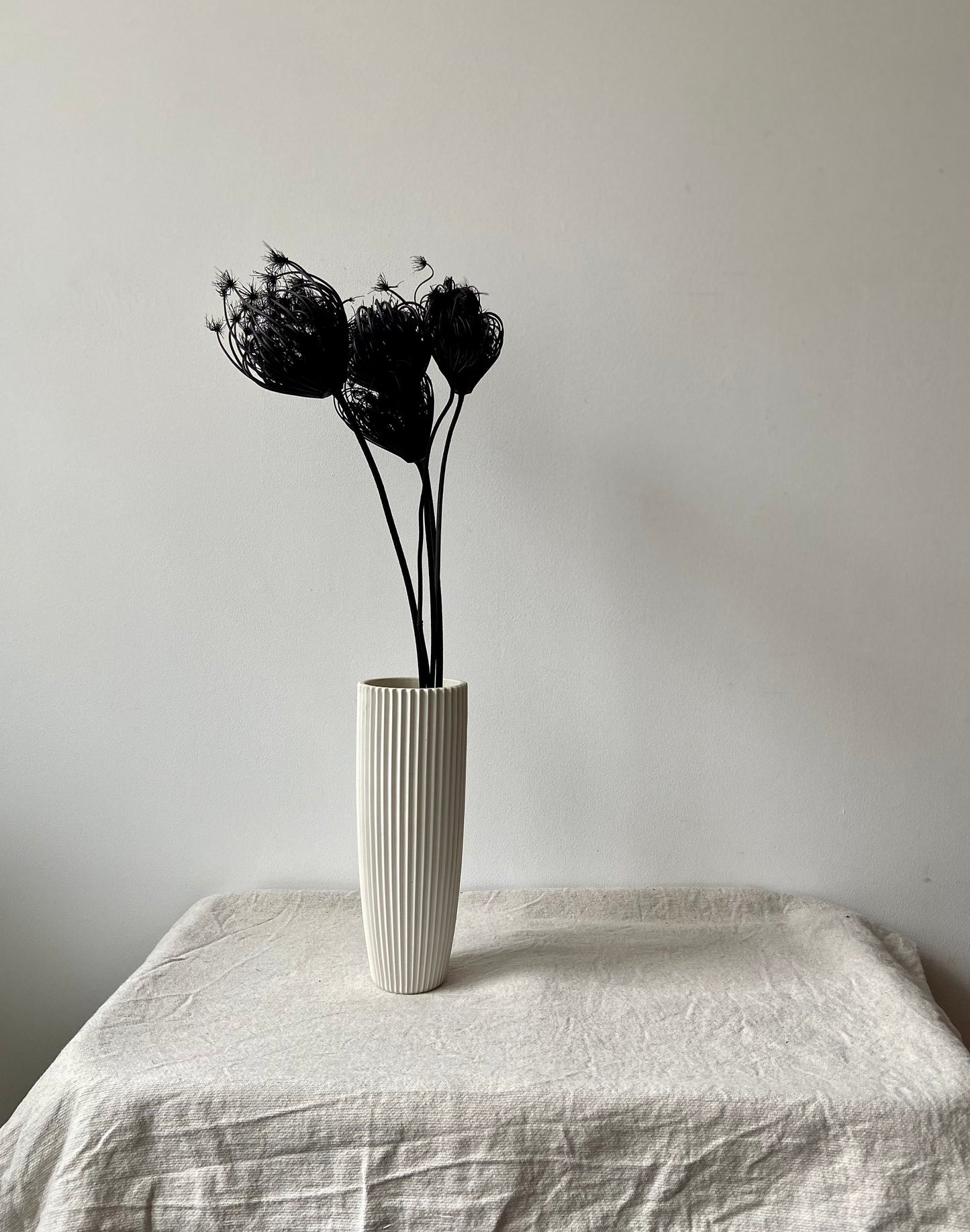 Fenchelblüten | schwarz | getrocknete Blüten | Fenchel schwarz | Trockenblume | Frühling | Zweige für die Vase | Blütenzweig | Ostern | Home