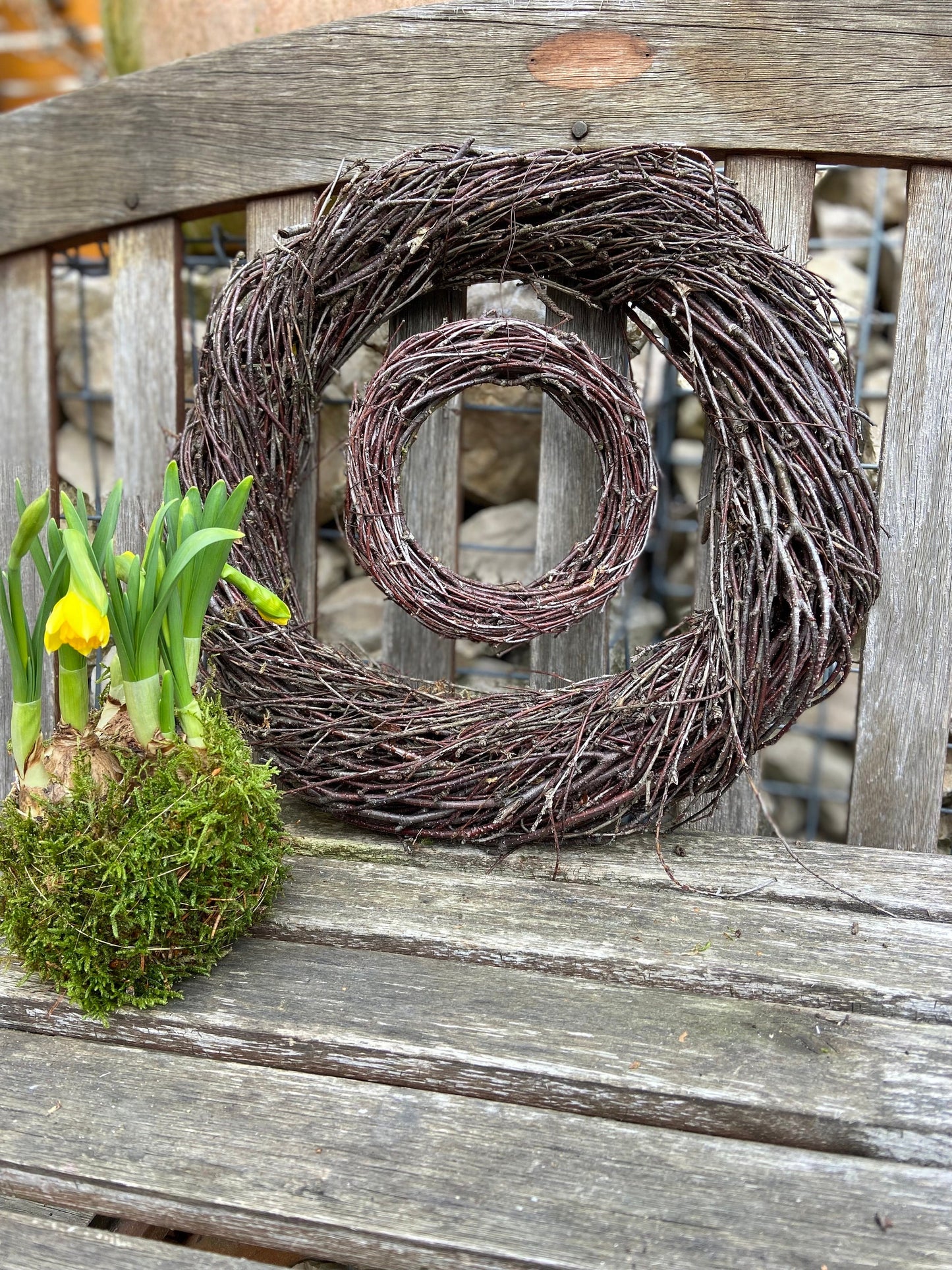 Osterglocken in Moos | Narzissen | Osterdekoration | Tischdekoration | Frühlingsdeko | Moos | Ostern | Frühlingsblüher | NaturDeko