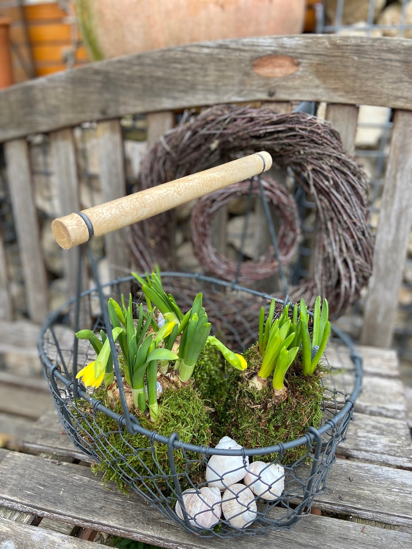Osterglocken in Moos | Narzissen | Osterdekoration | Tischdekoration | Frühlingsdeko | Moos | Ostern | Frühlingsblüher | NaturDeko