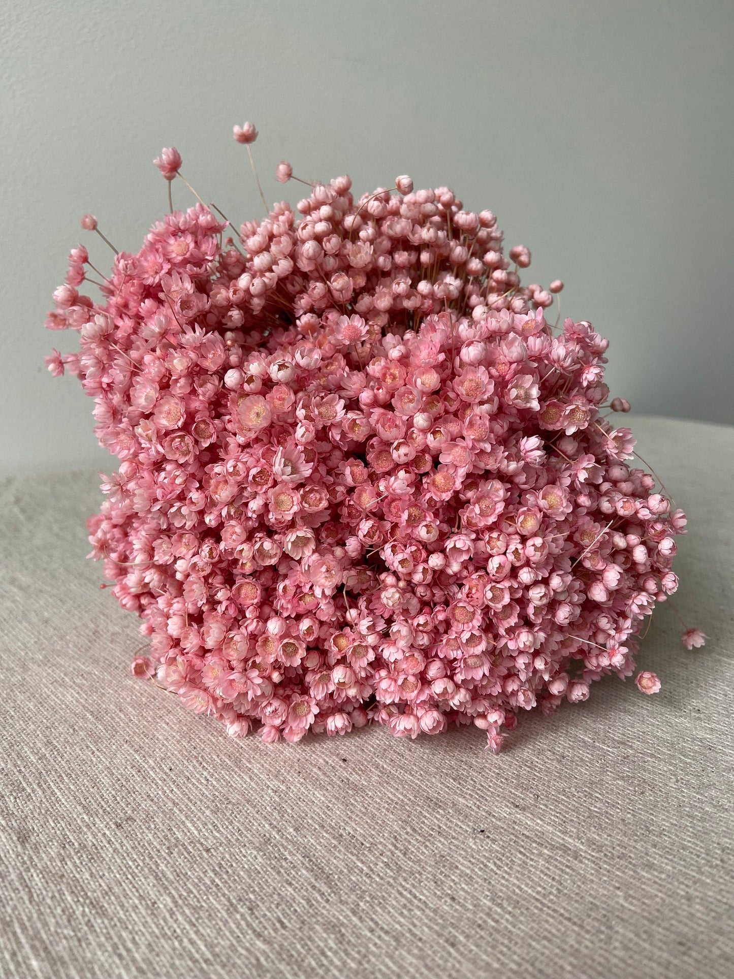 Trockenblumenstrauß | Glixia | babyrosa | zart