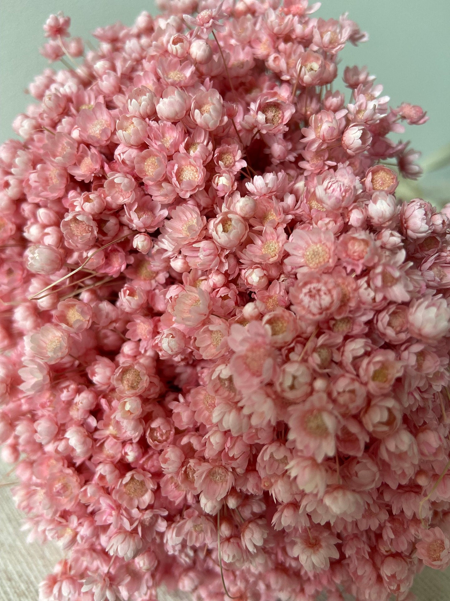 Trockenblumenstrauß | Glixia | babyrosa | zart