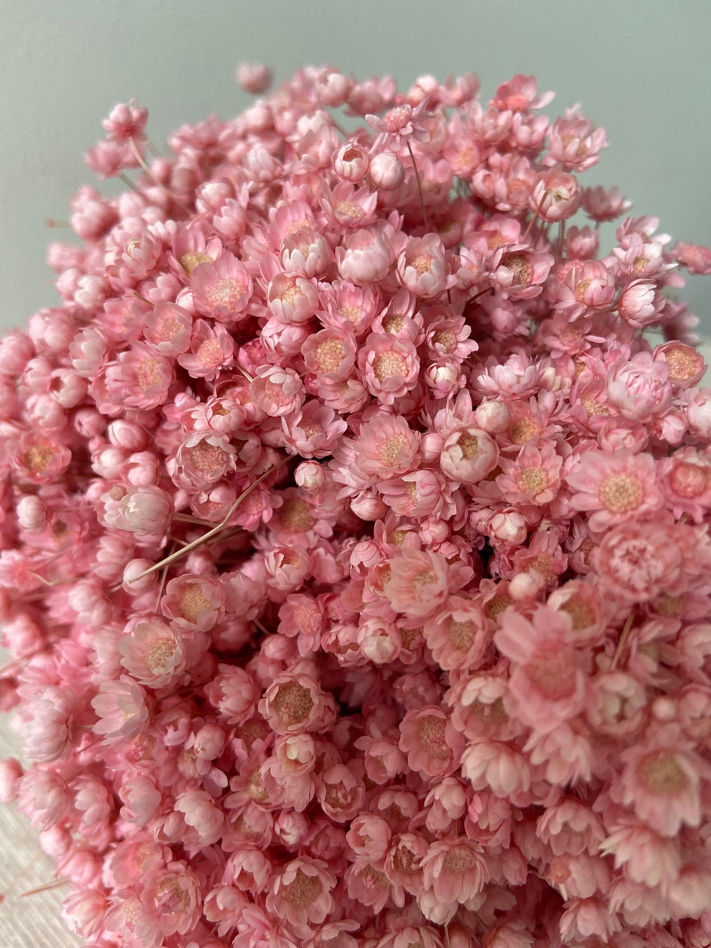 Trockenblumenstrauß | Glixia | babyrosa | zart