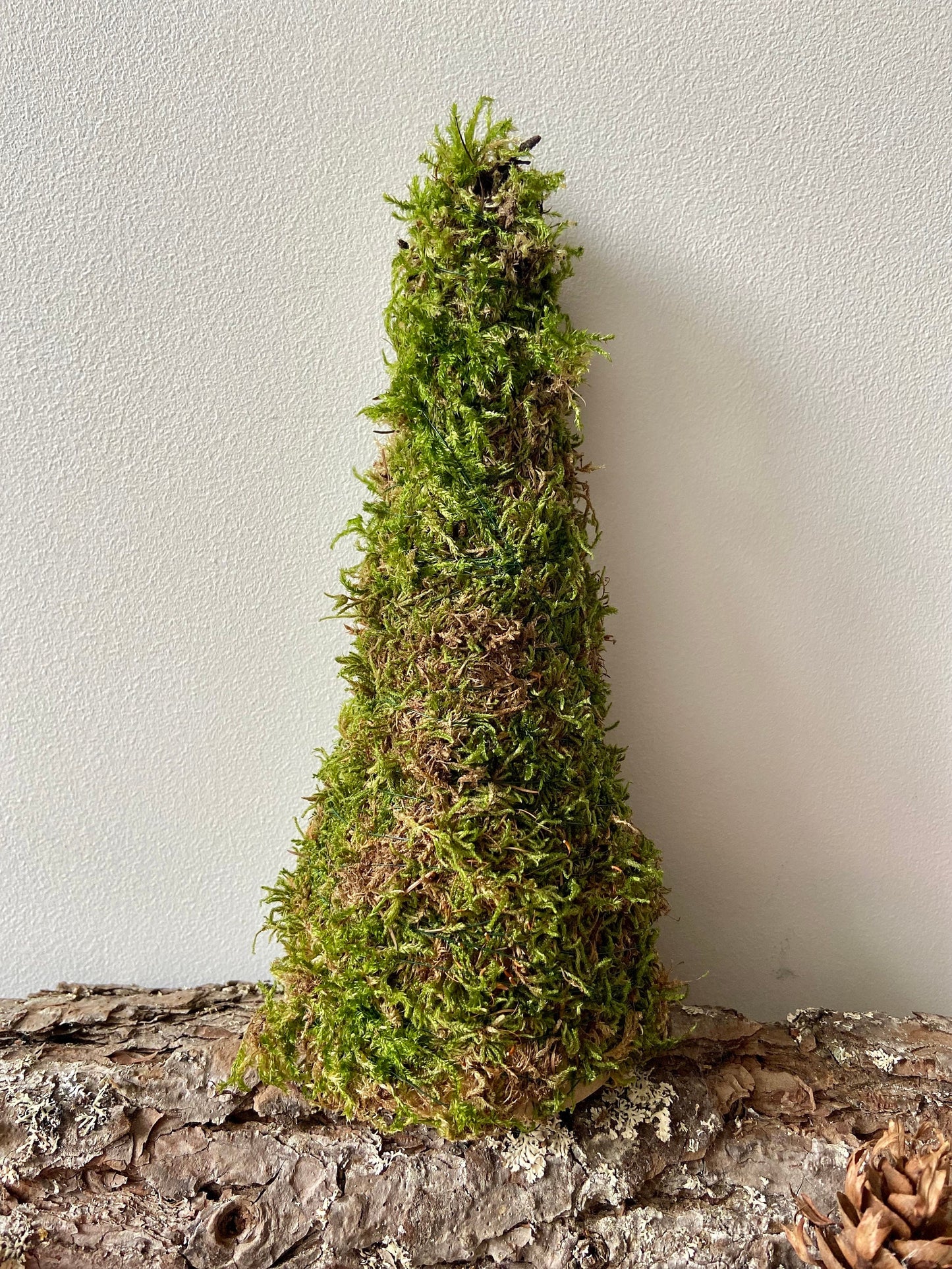 Tannenbaum aus Moos | Moosbaum | Advent | Weihnachten | Deko | Winter | Naturdeko | Mini-Tannenbaum