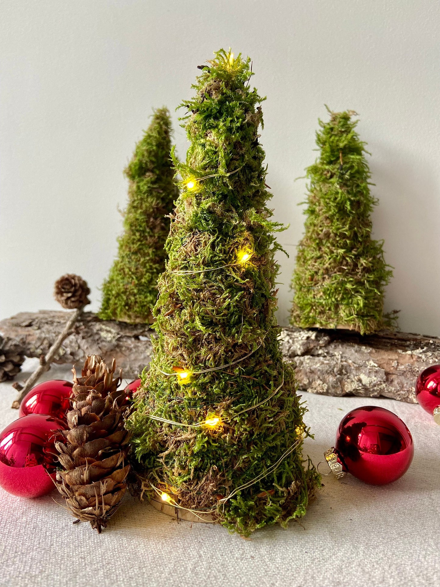 Tannenbaum aus Moos | Moosbaum | Advent | Weihnachten | Deko | Winter | Naturdeko | Mini-Tannenbaum