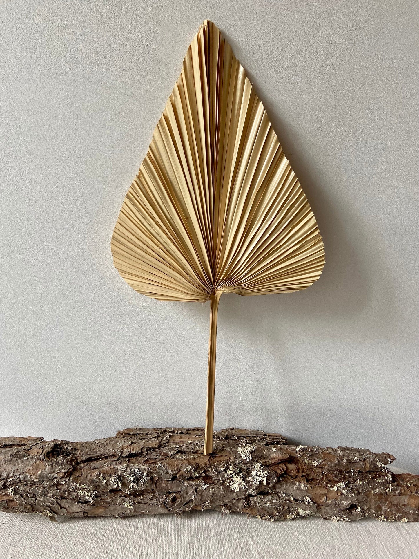 Palmblatt | Bambusblatt | Trockenblume | Creme | Zweige für die Vase | Blütenzweig | Advent | Winter | Dekoblatt | Natur